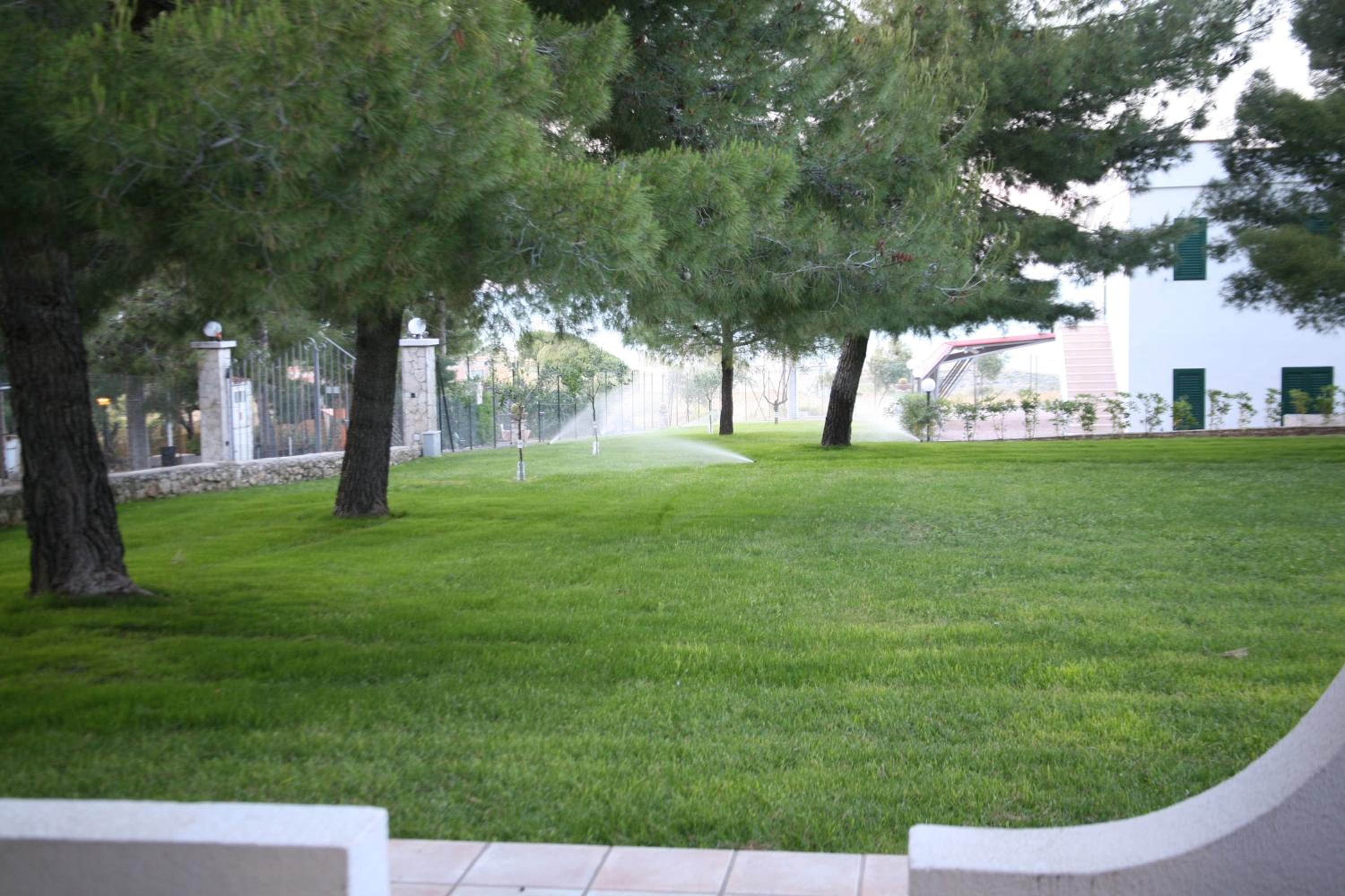 Photo 40