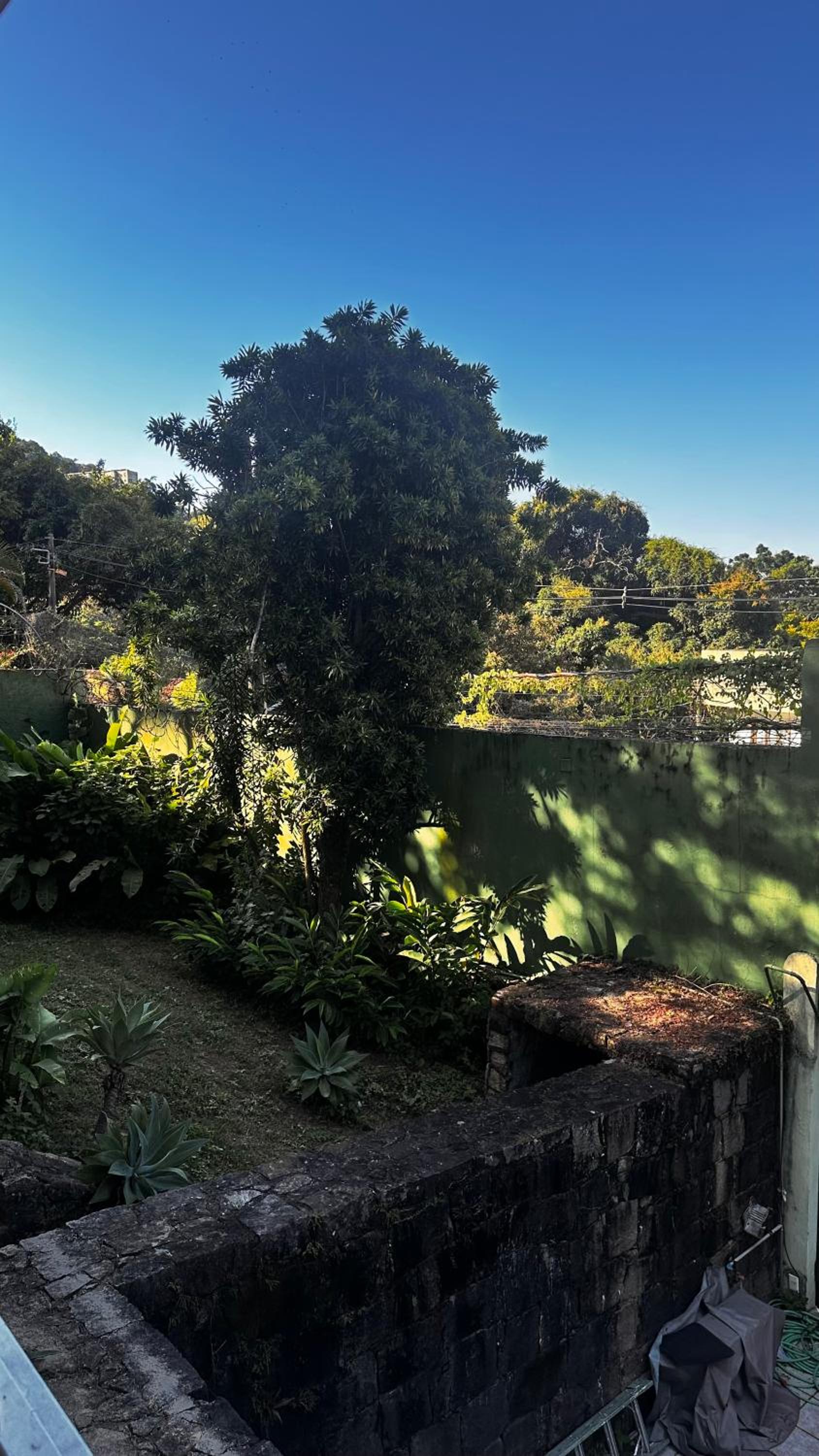 Casa da natureza - Cosme Velho