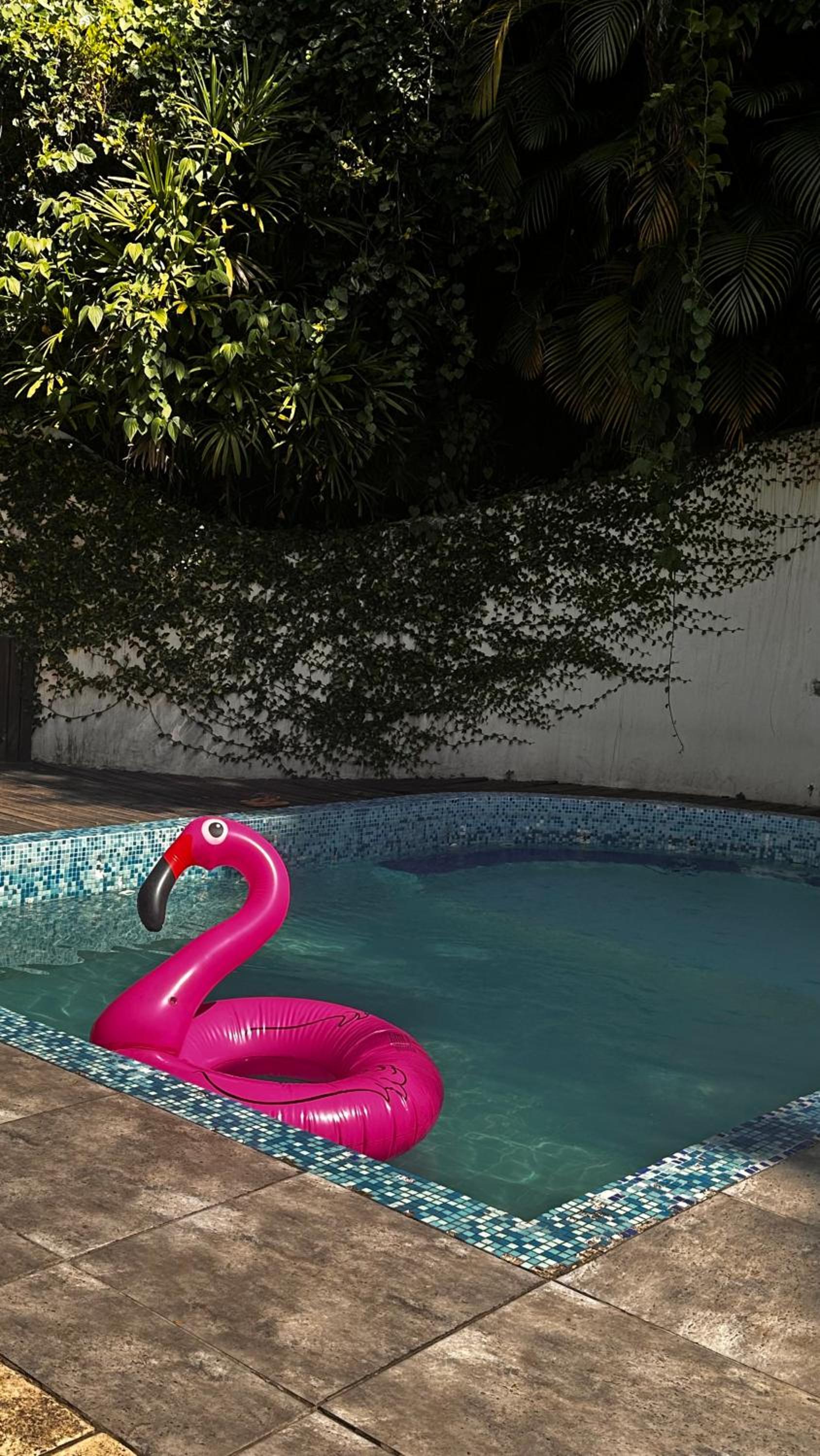 Casa da natureza - Cosme Velho