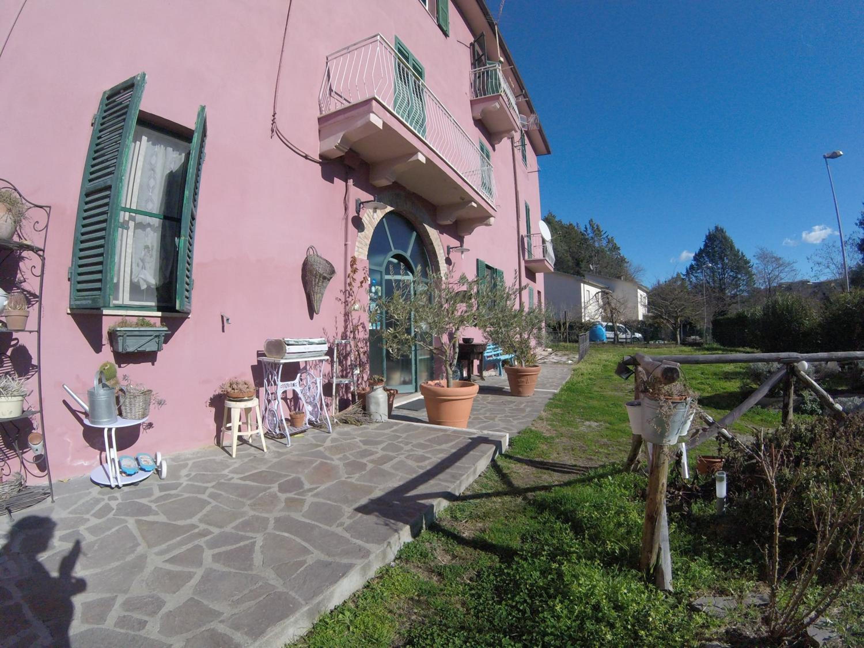 Photo 44