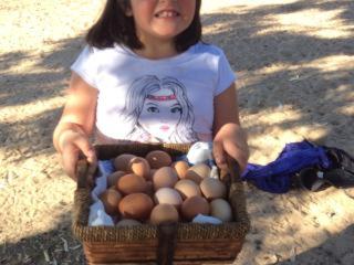 Corella Creek Country Farm Stay