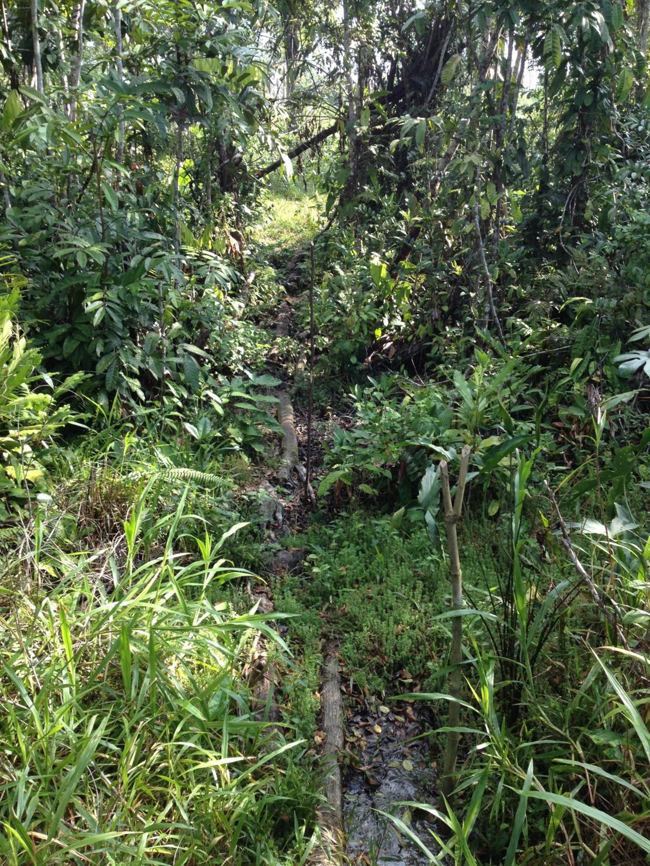 Photo 9
