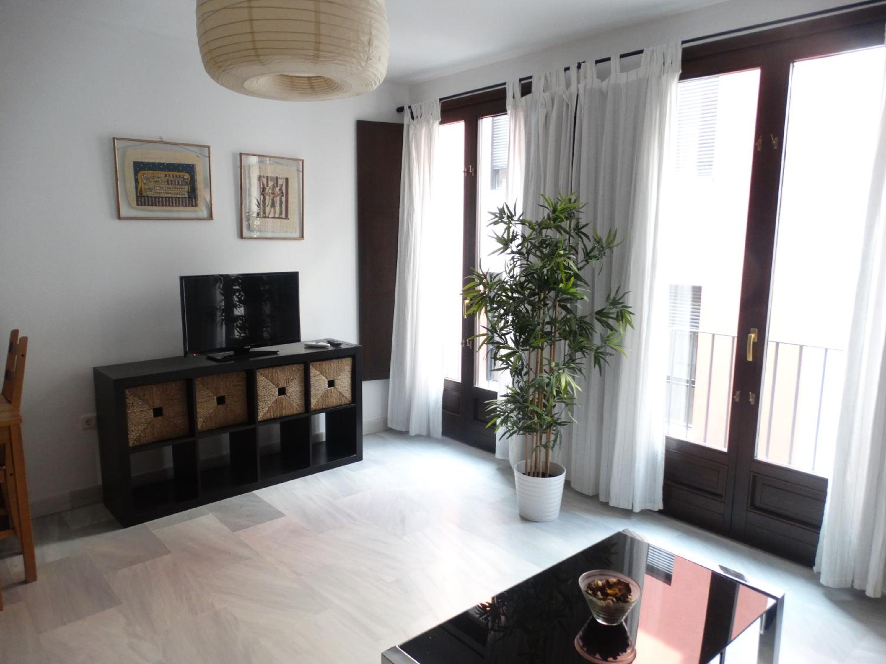 Málaga Apartamentos - Jinetes, 13