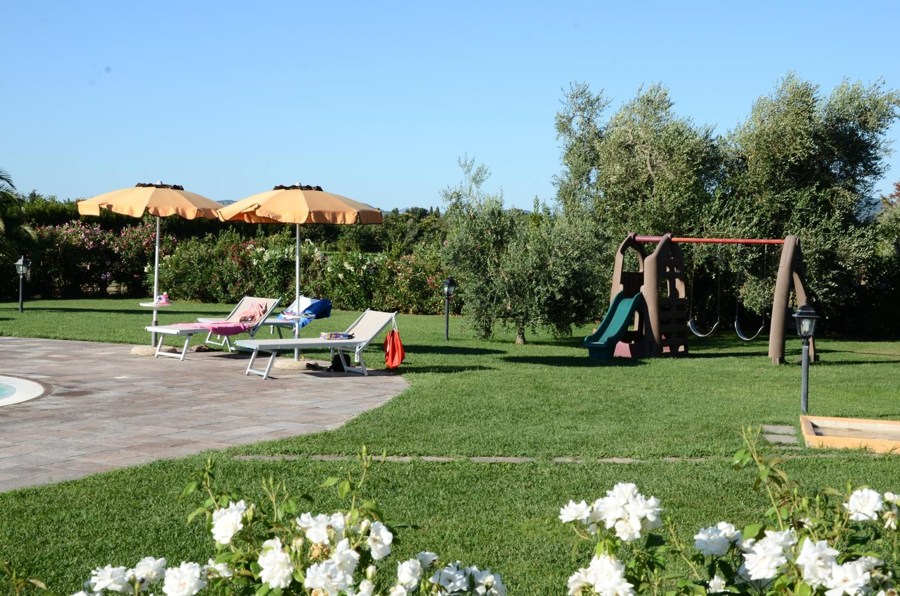 Photo 11
