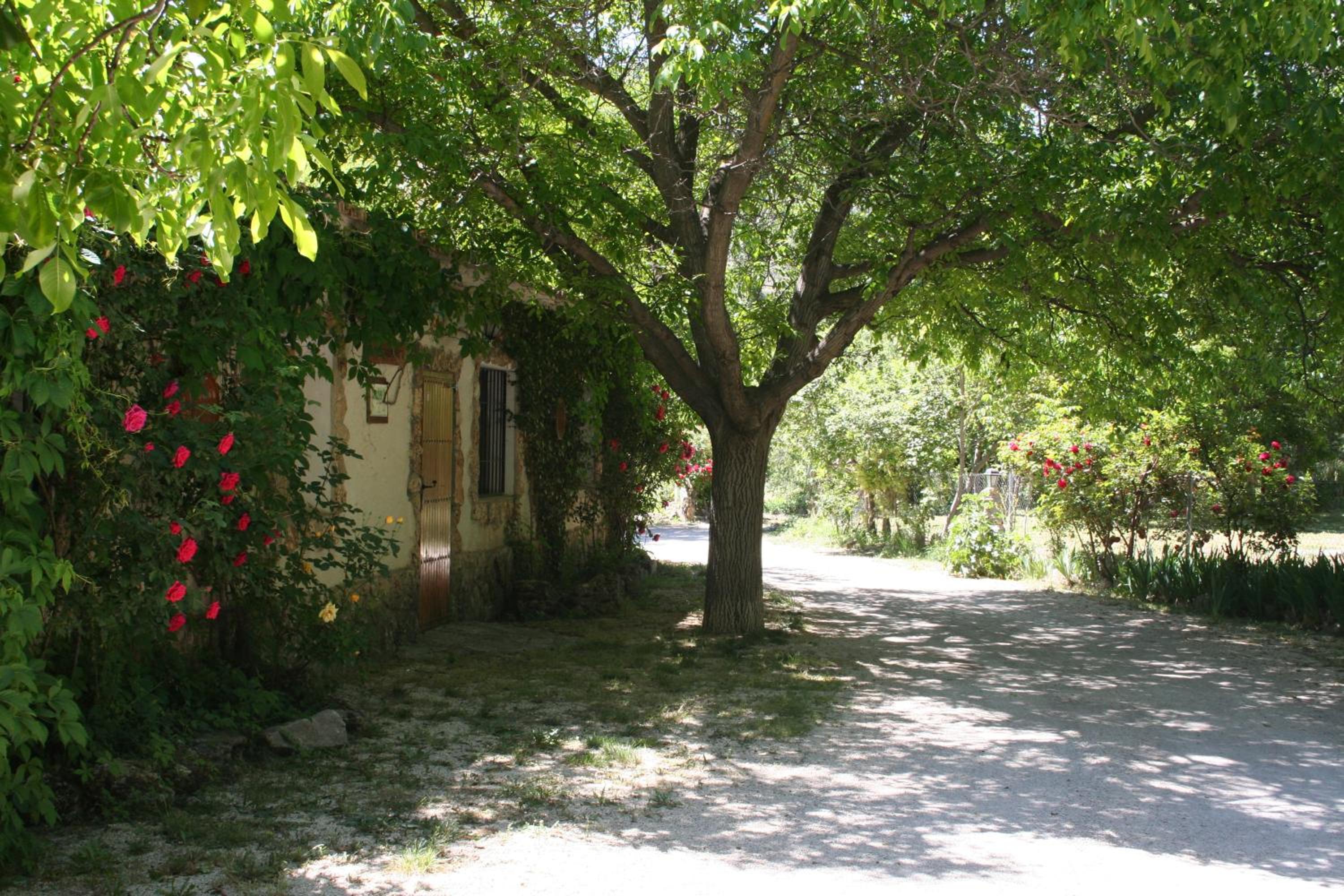 Photo 36