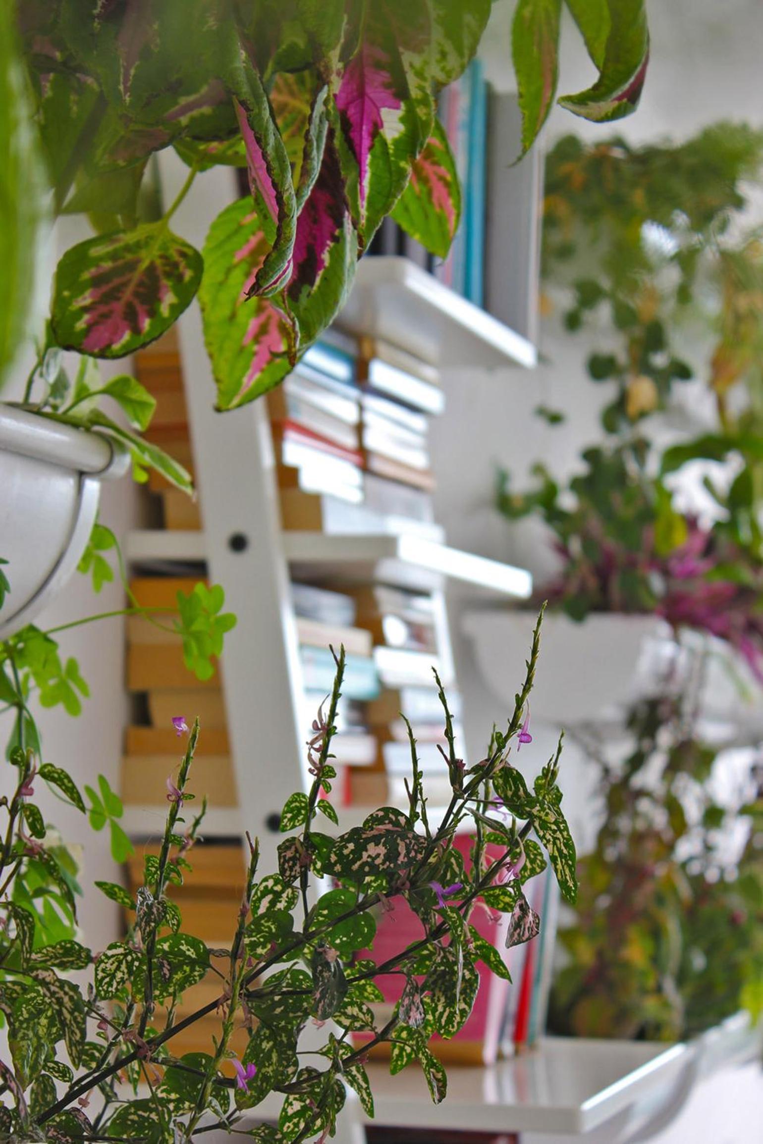 Apartamentos Gelimar