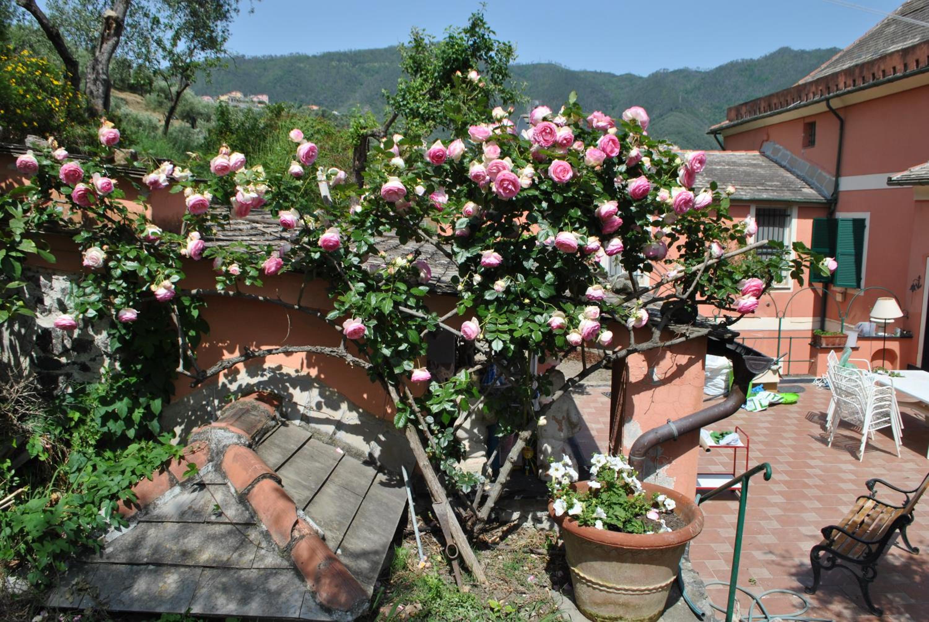 L' Amandola