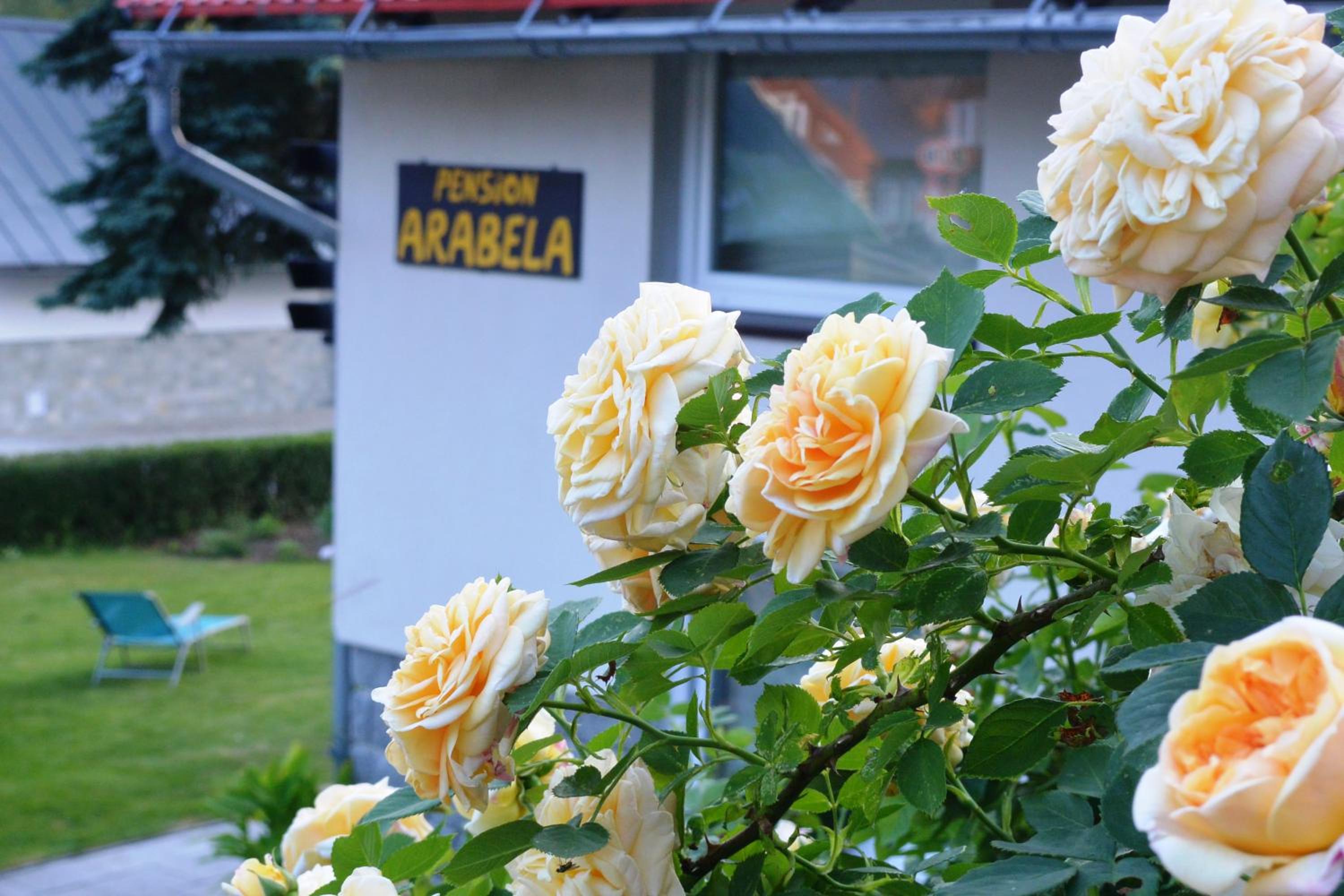 Pension Arabela