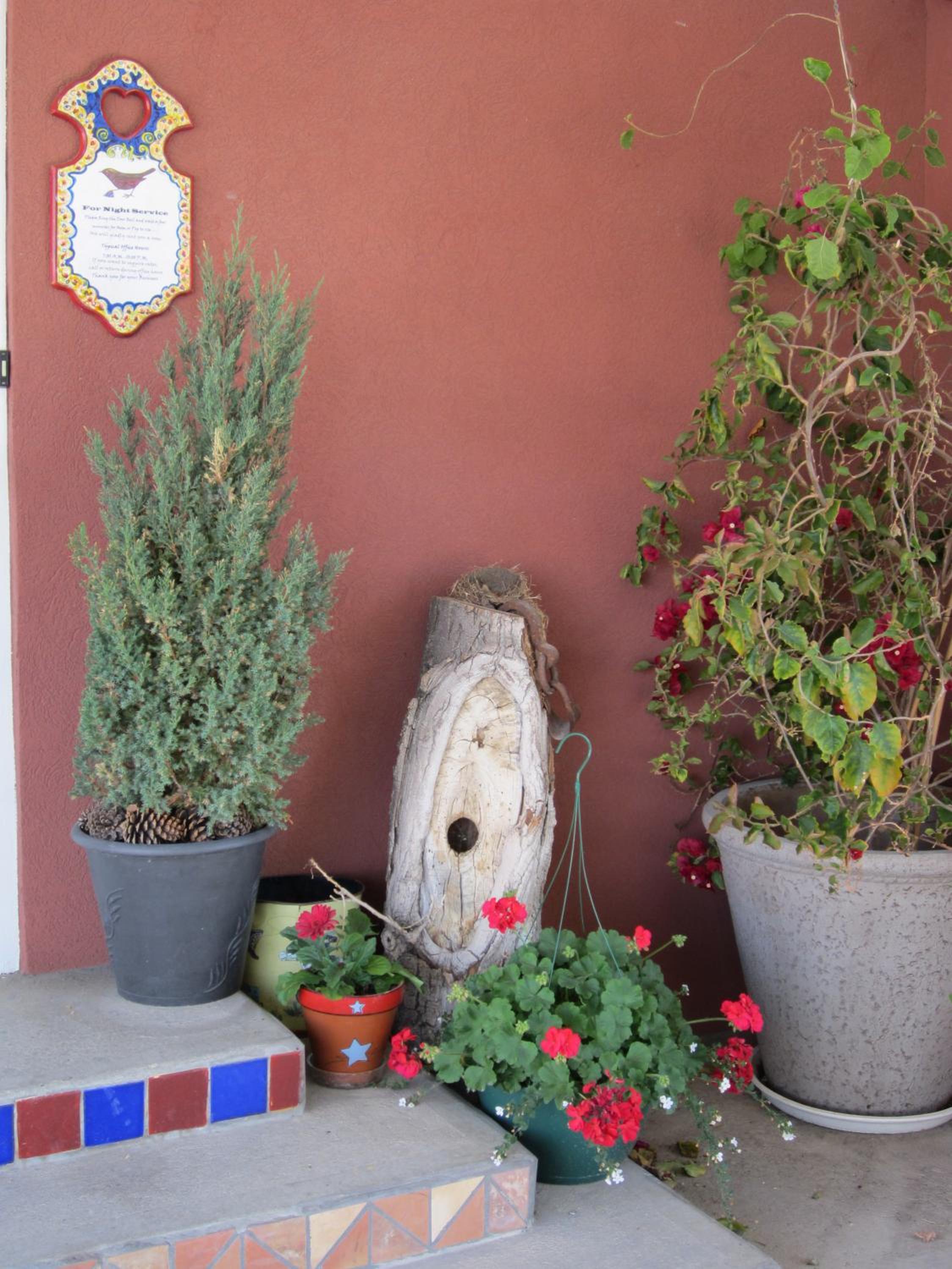 Buffalo Vacations - Big Horn Motel - Property Image 9