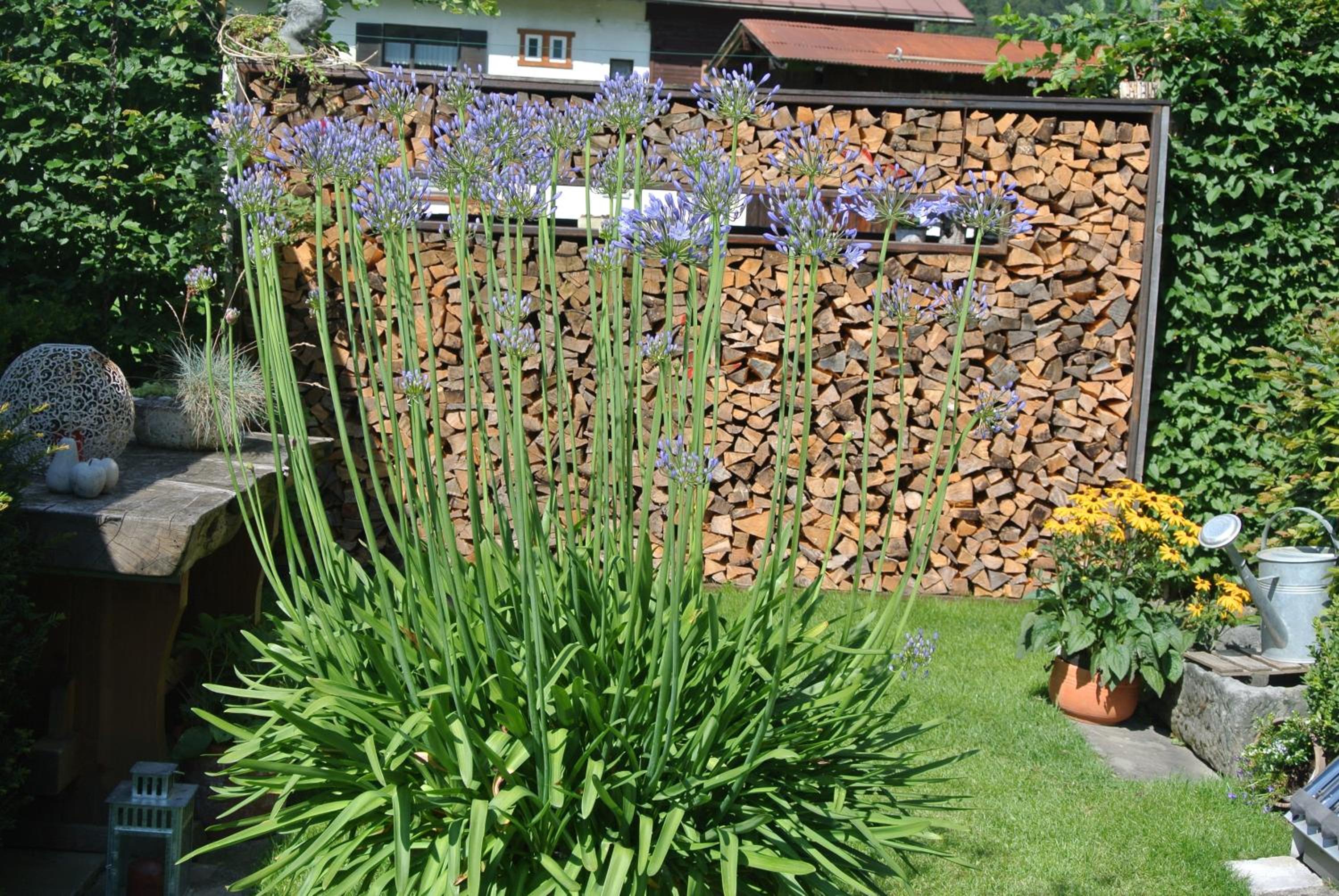 Haus Christopherus