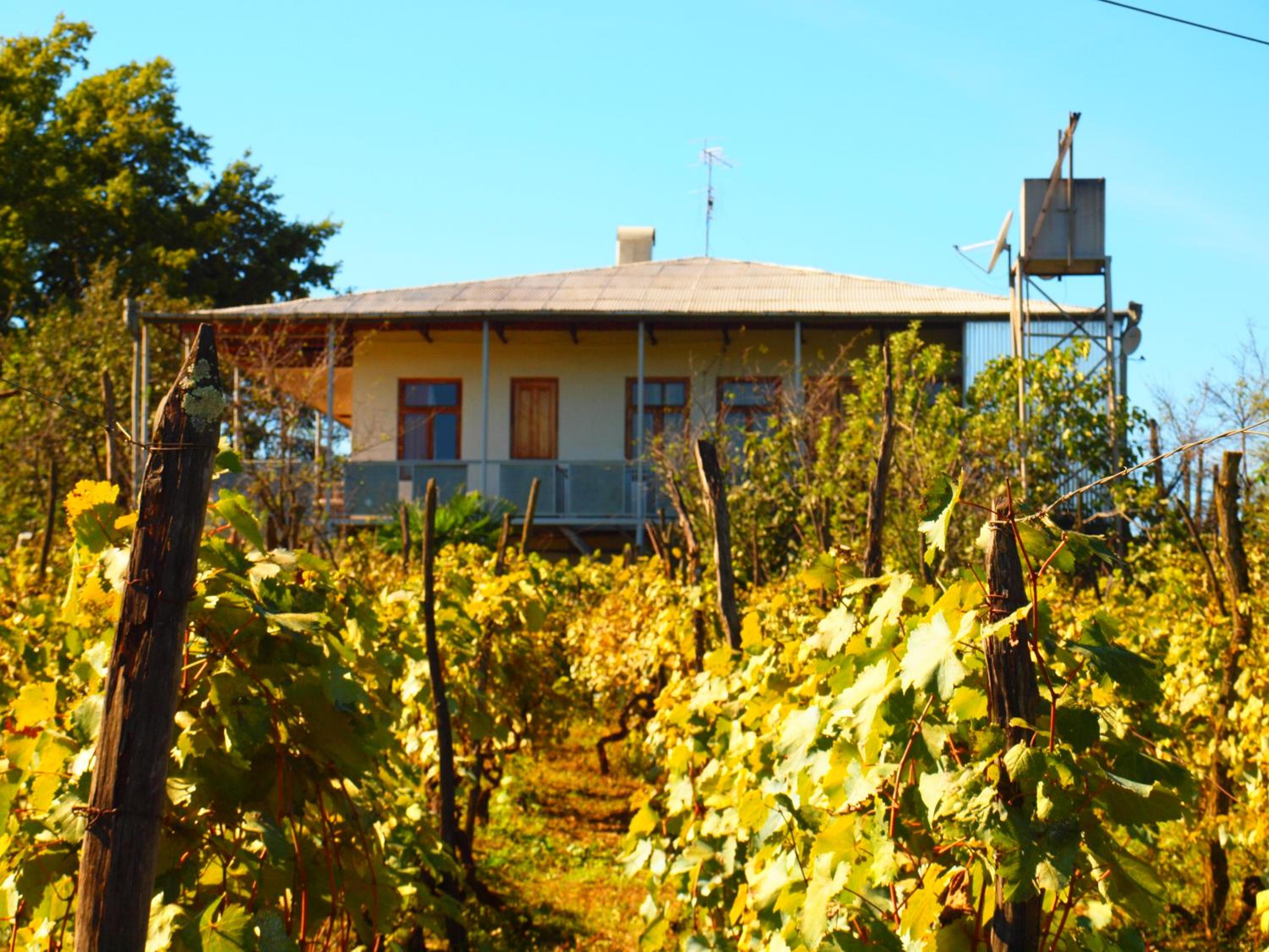 Guesthouse Zedafoni