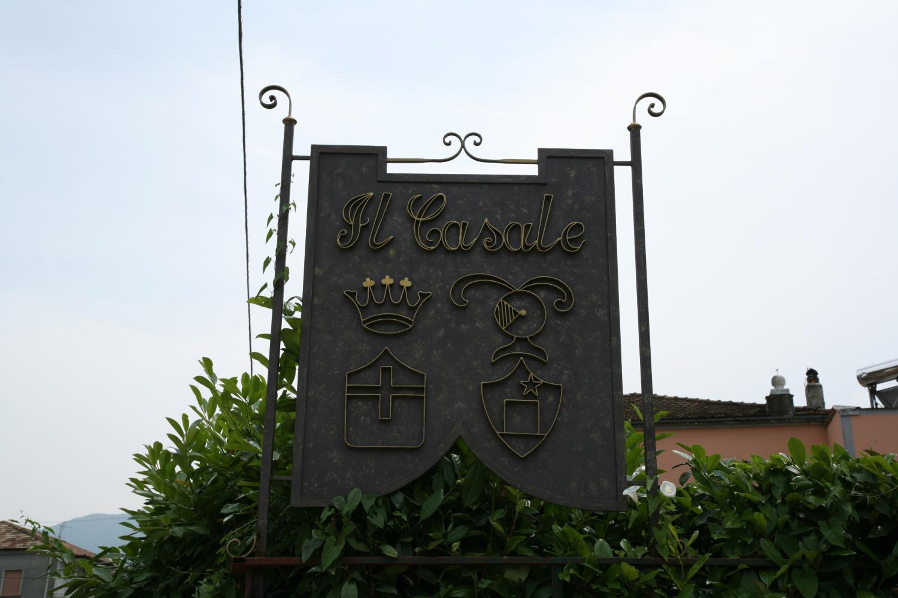 Photo 46