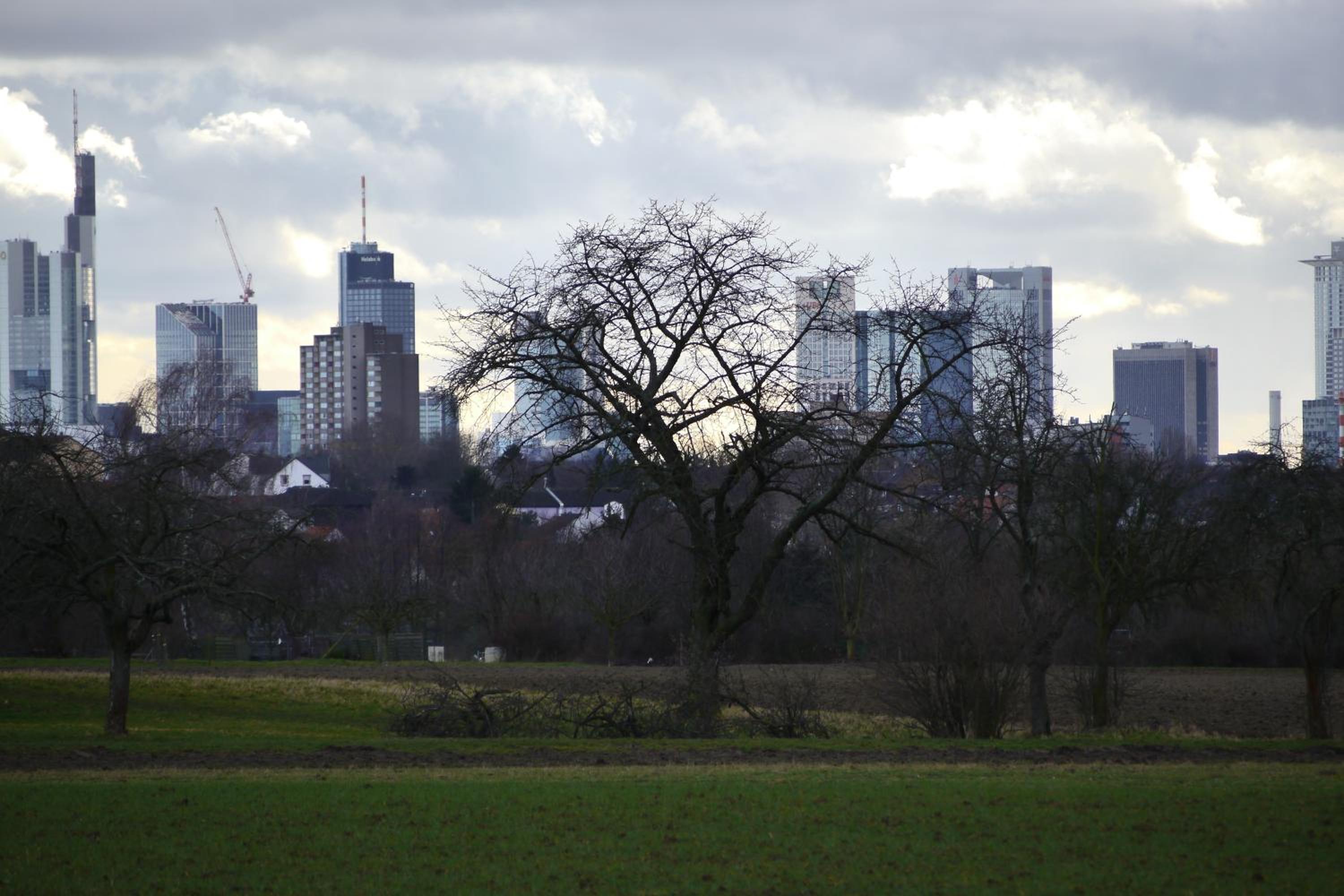 Frankfurt Bed & Breakfast