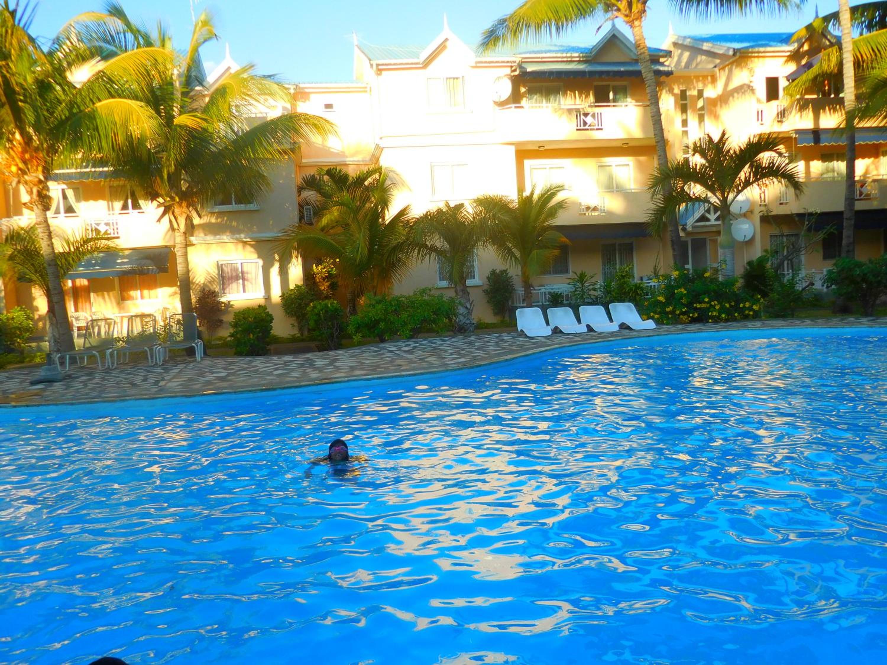 Le Dattier -dreambeach view 3