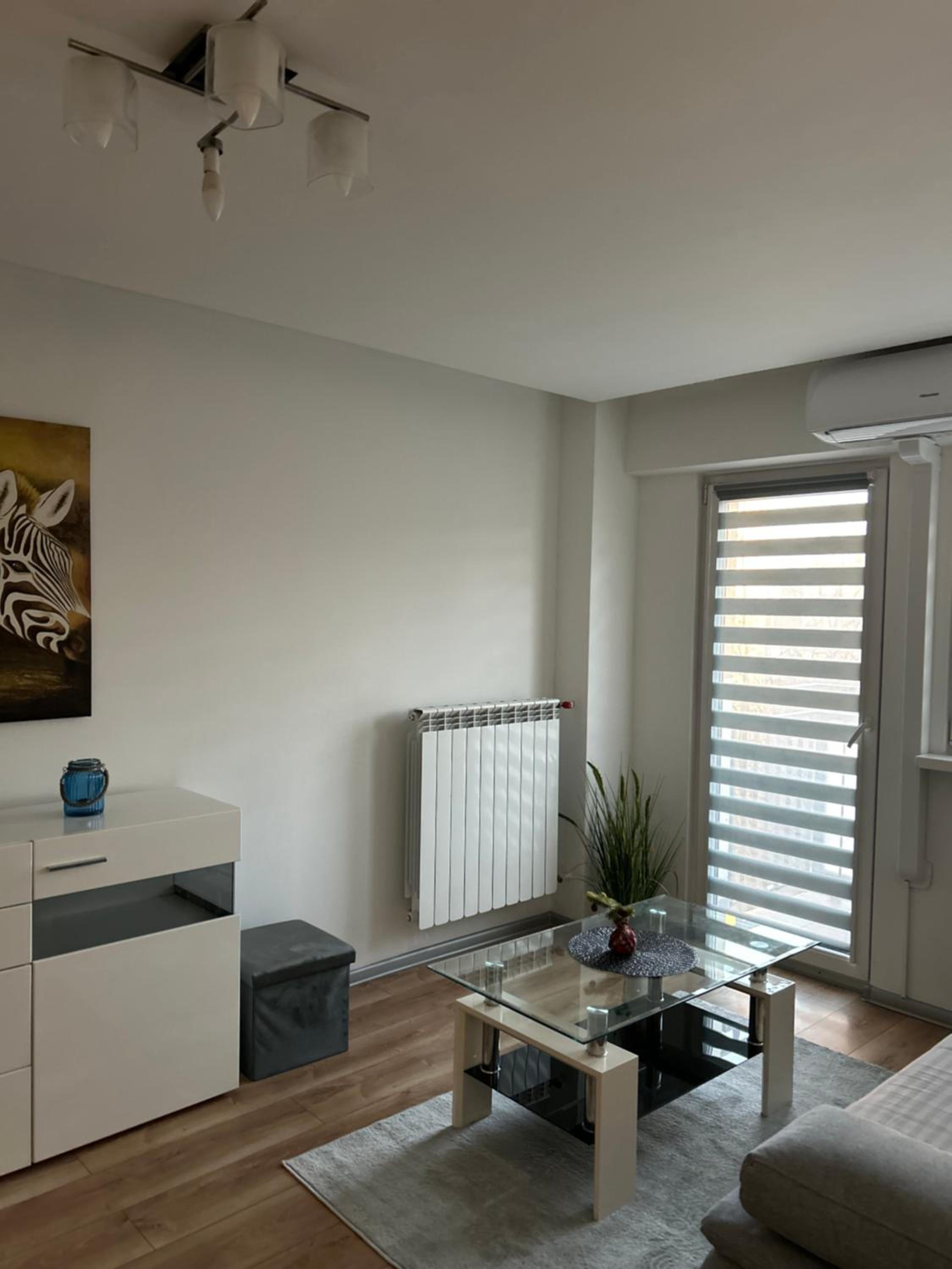 Apartament Dworzec Zachodni Wieluńska