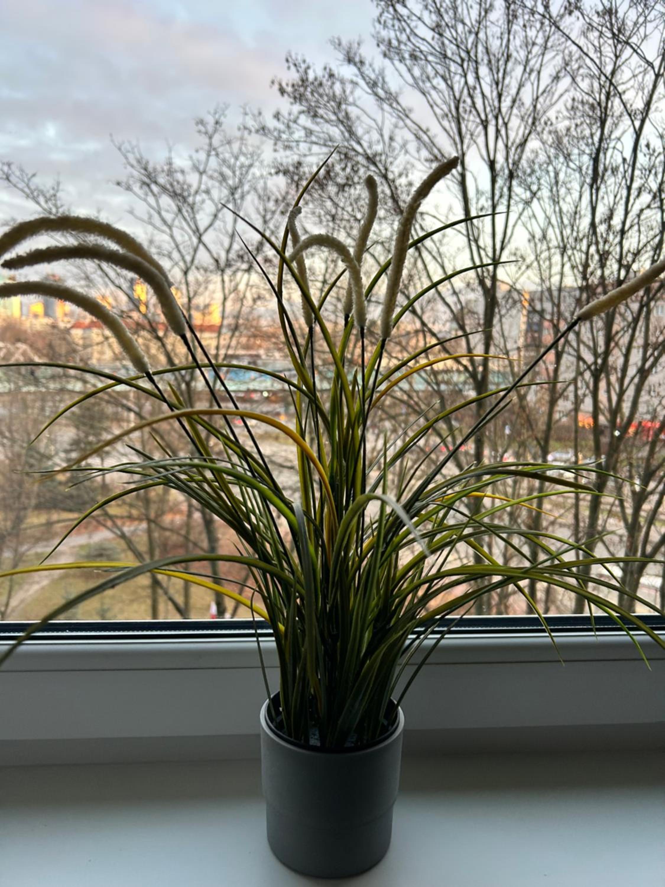 Apartament Dworzec Zachodni Wieluńska