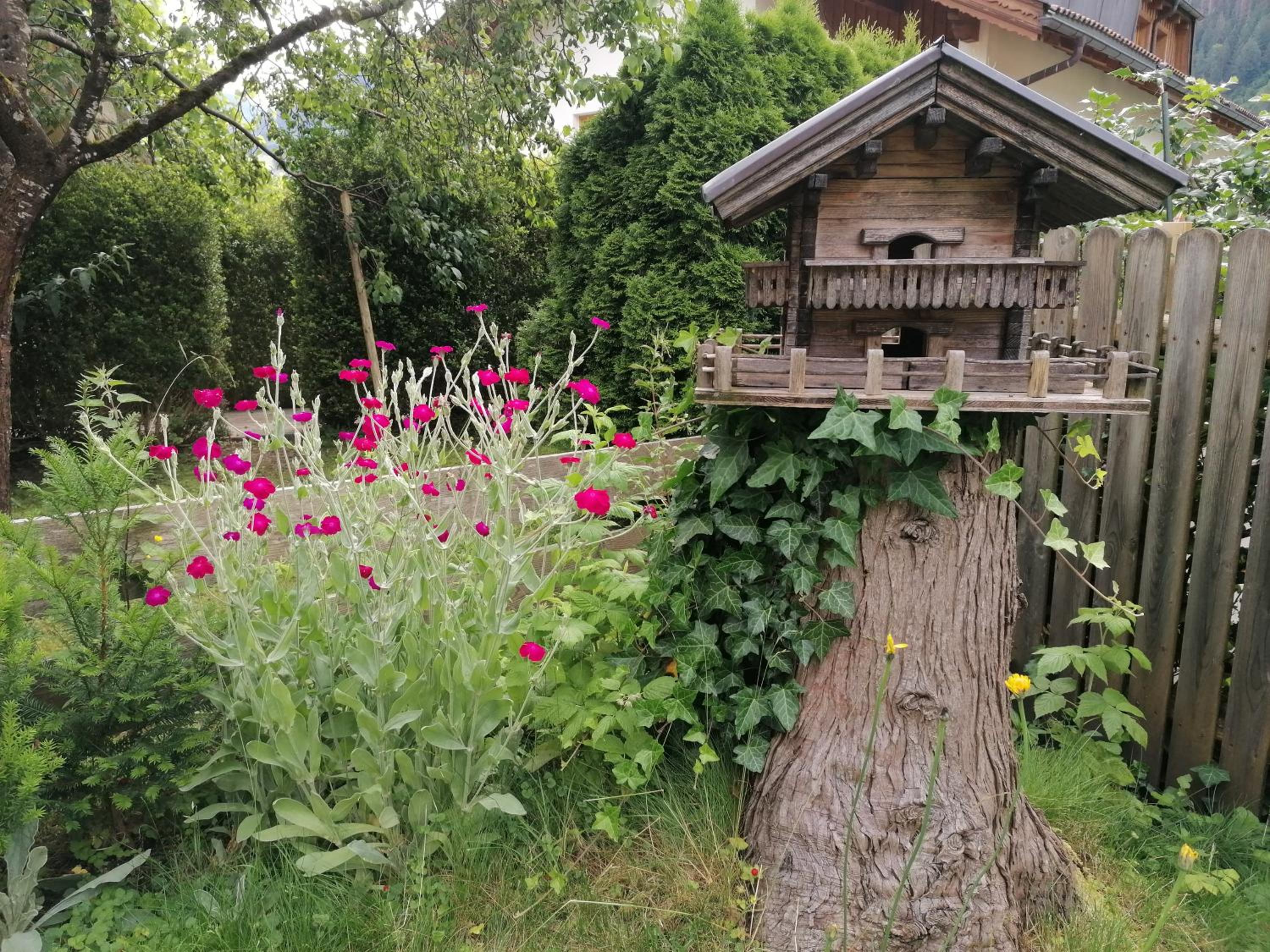 Photo 44