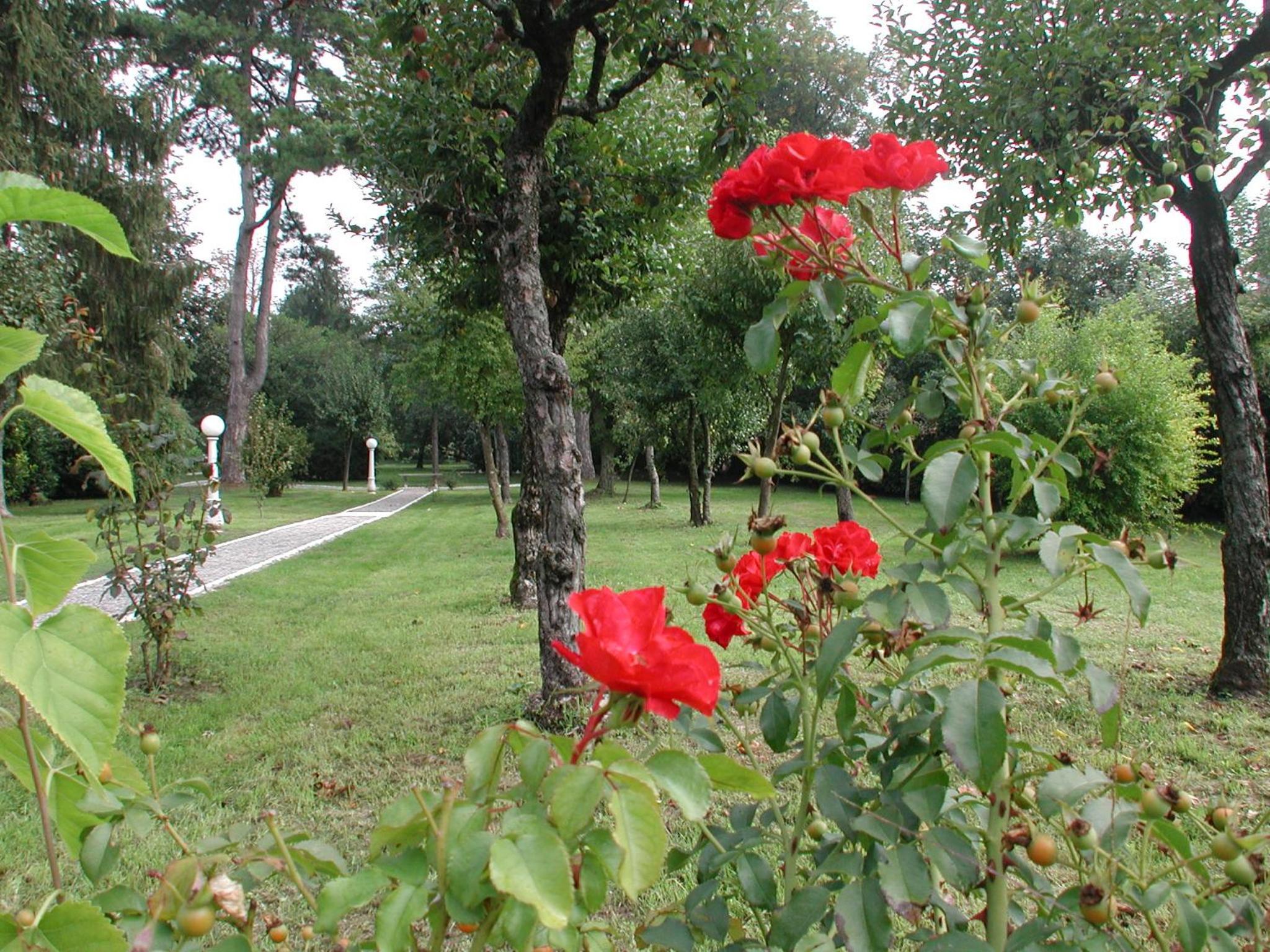 Photo 29
