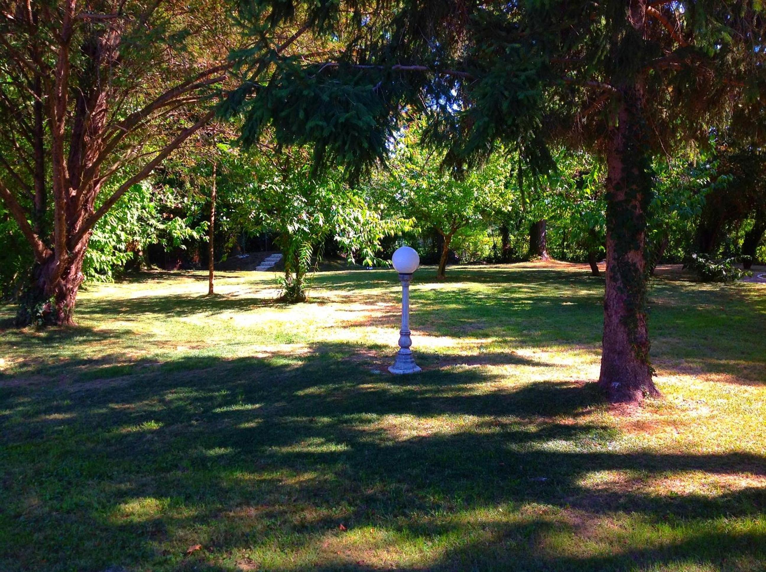 Photo 34