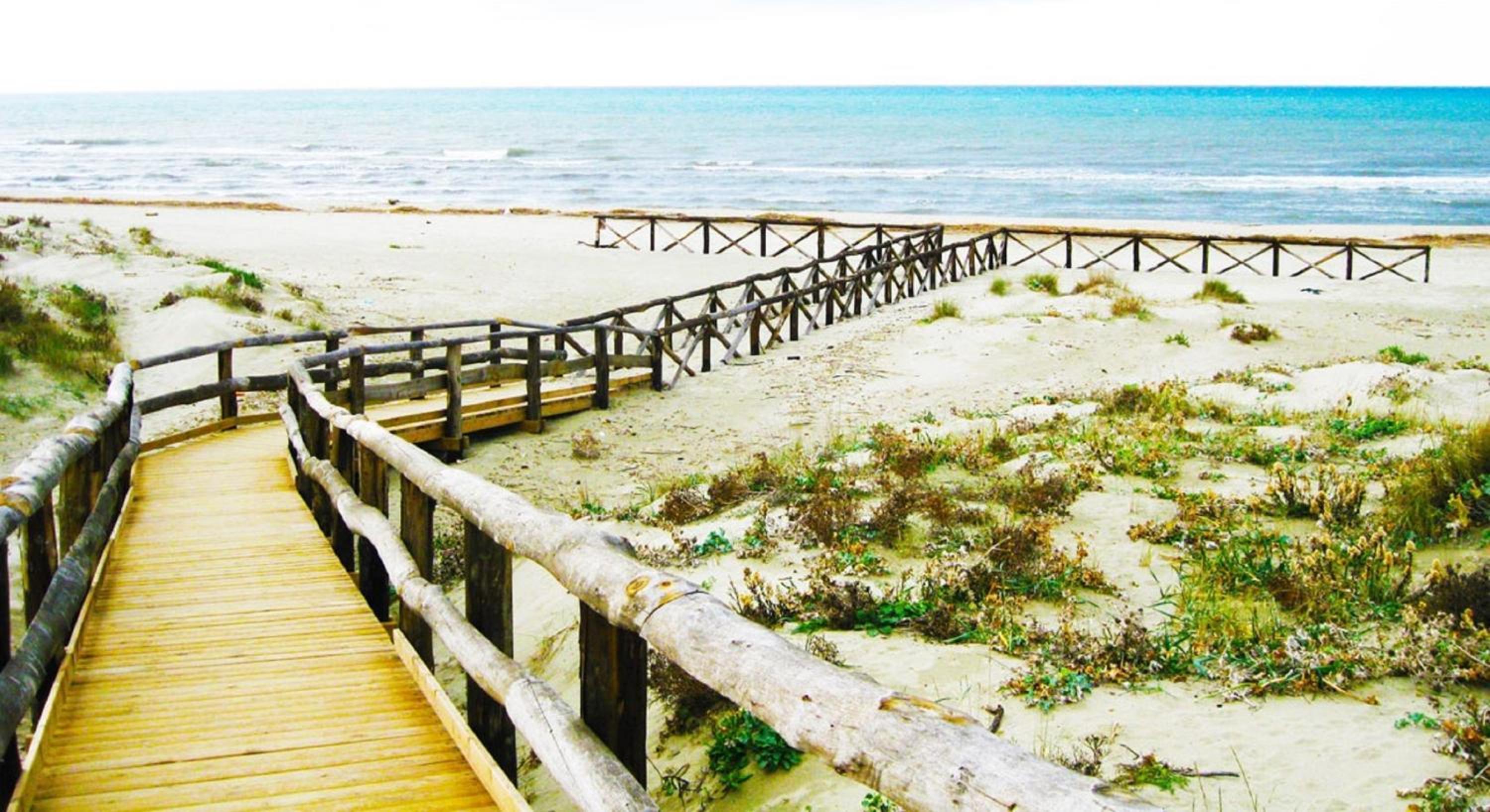 Eliopoli Beach Hostel & Restaurant