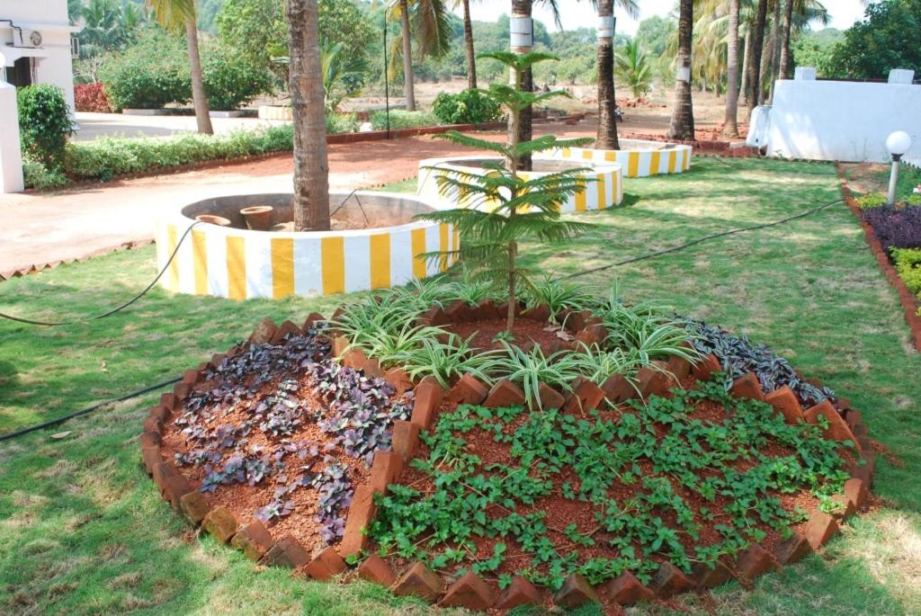Sneha Farm House view 2
