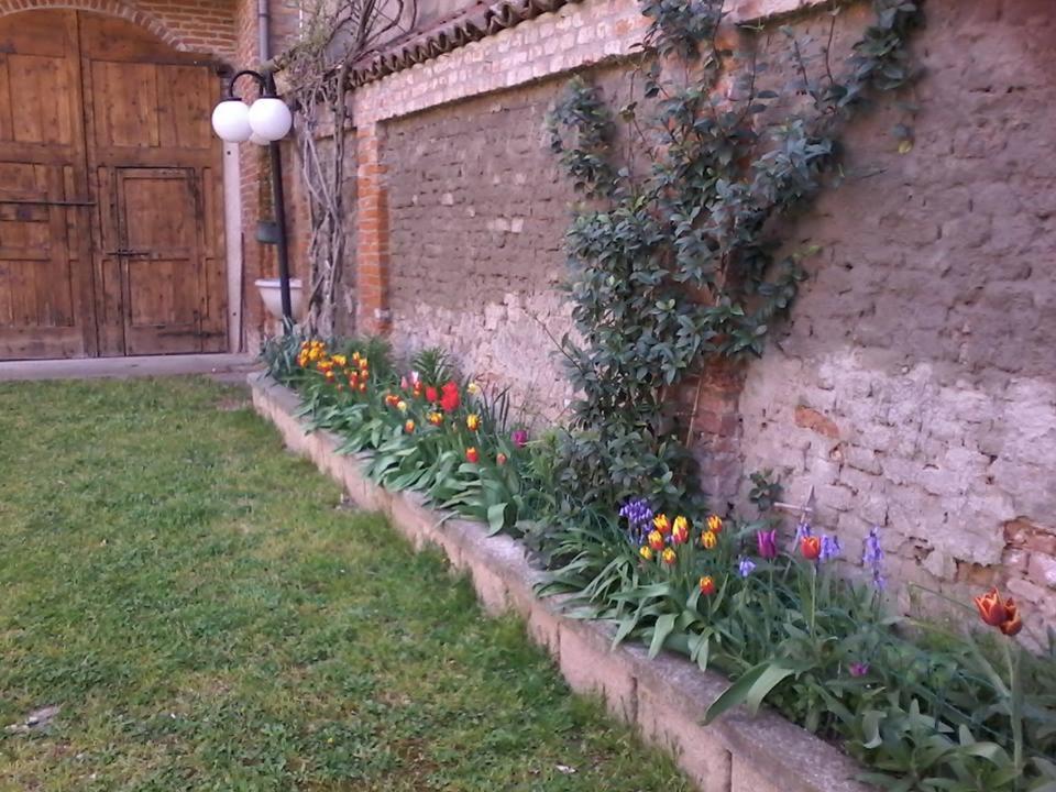 Perbacco photo 4