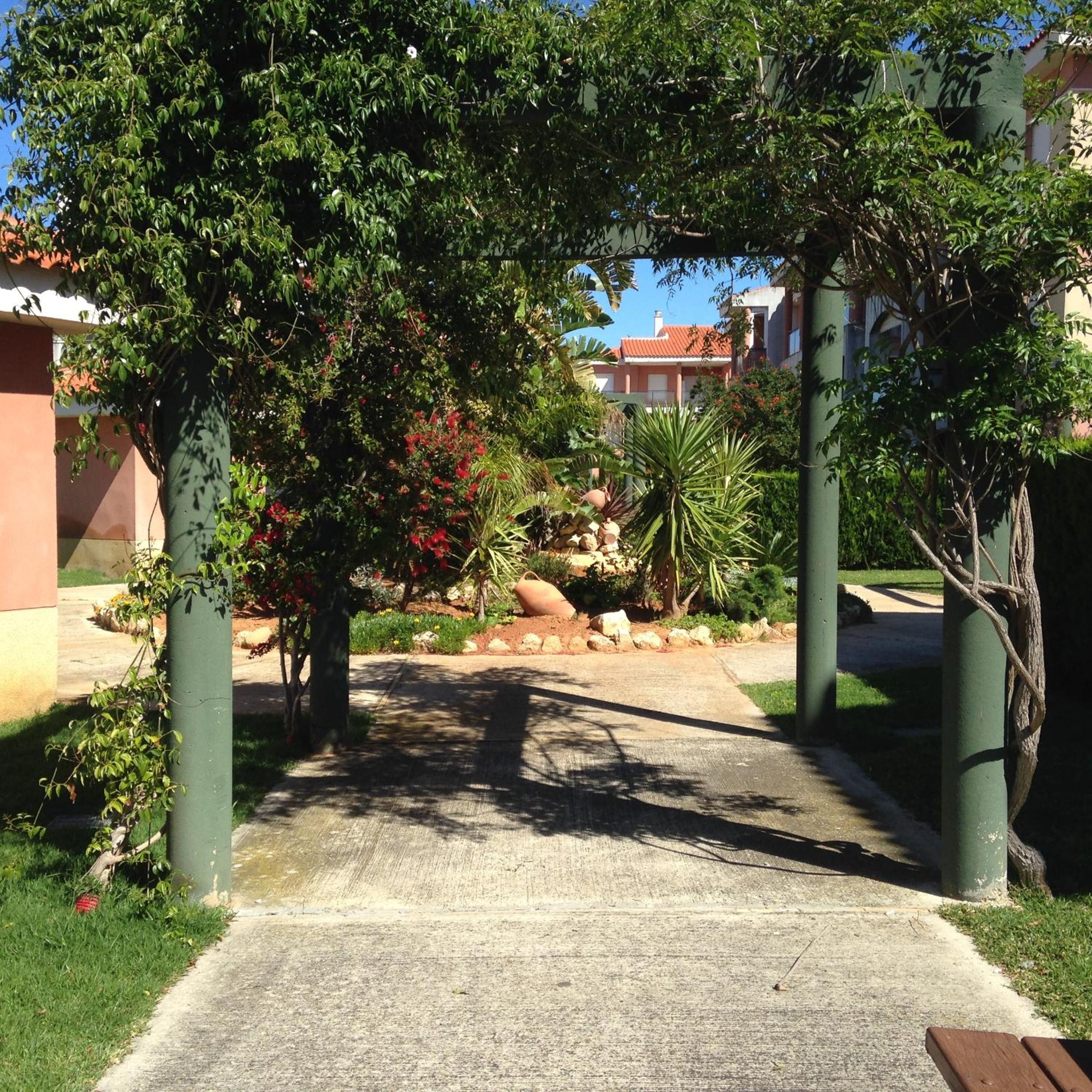 Photo 41
