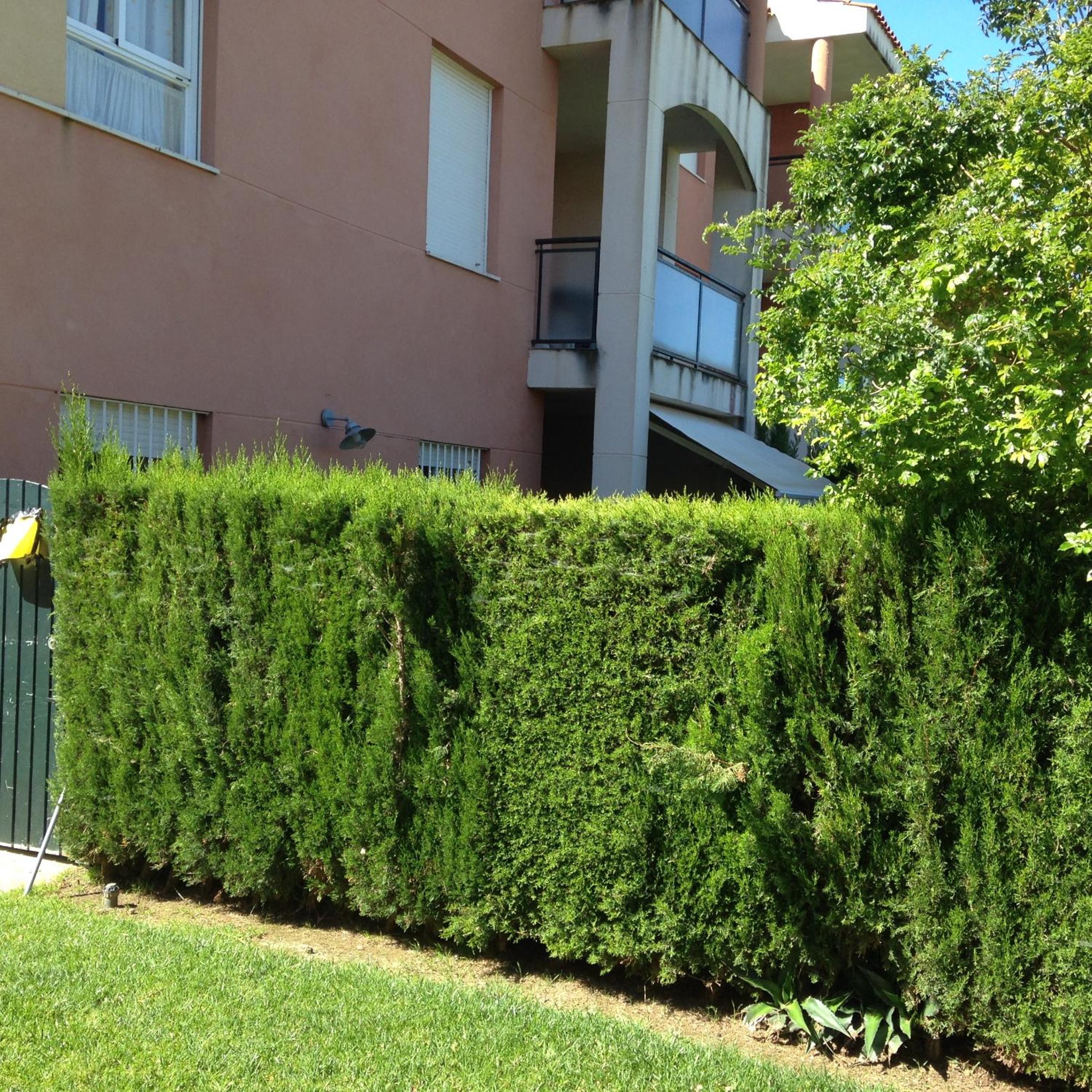 Divi Apartments Costa Ballena view 3