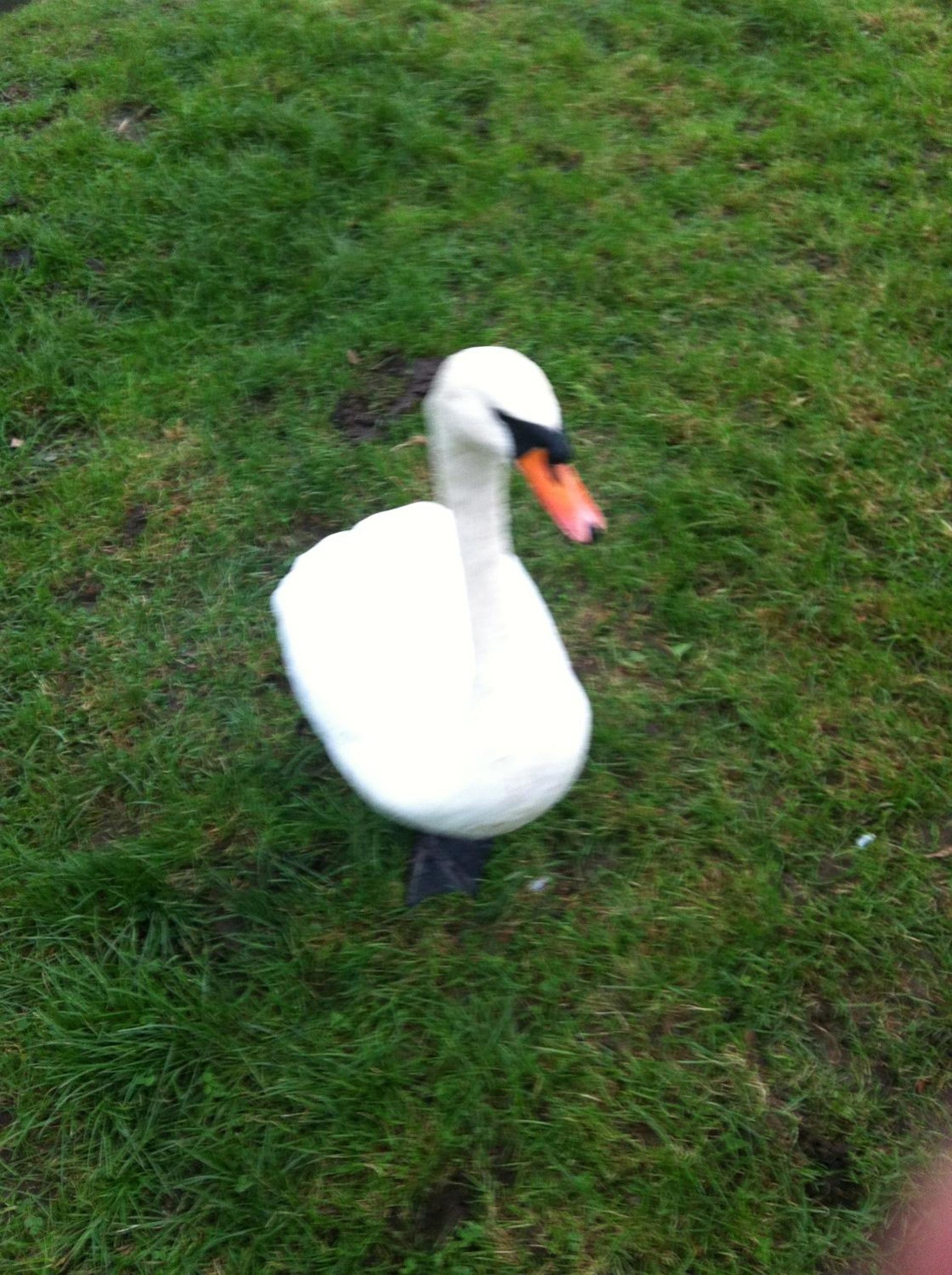 Isleham River Lodge