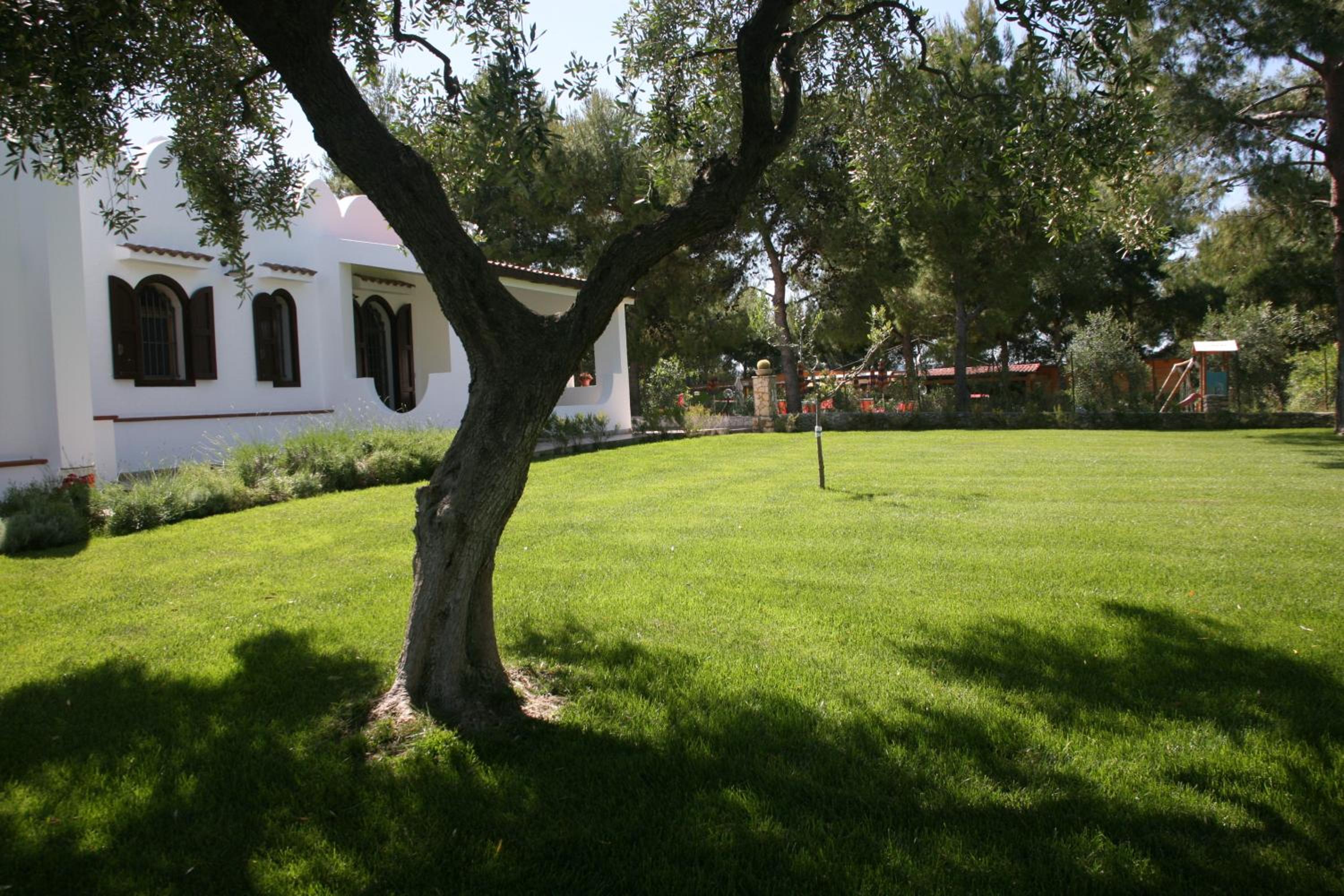 Photo 46