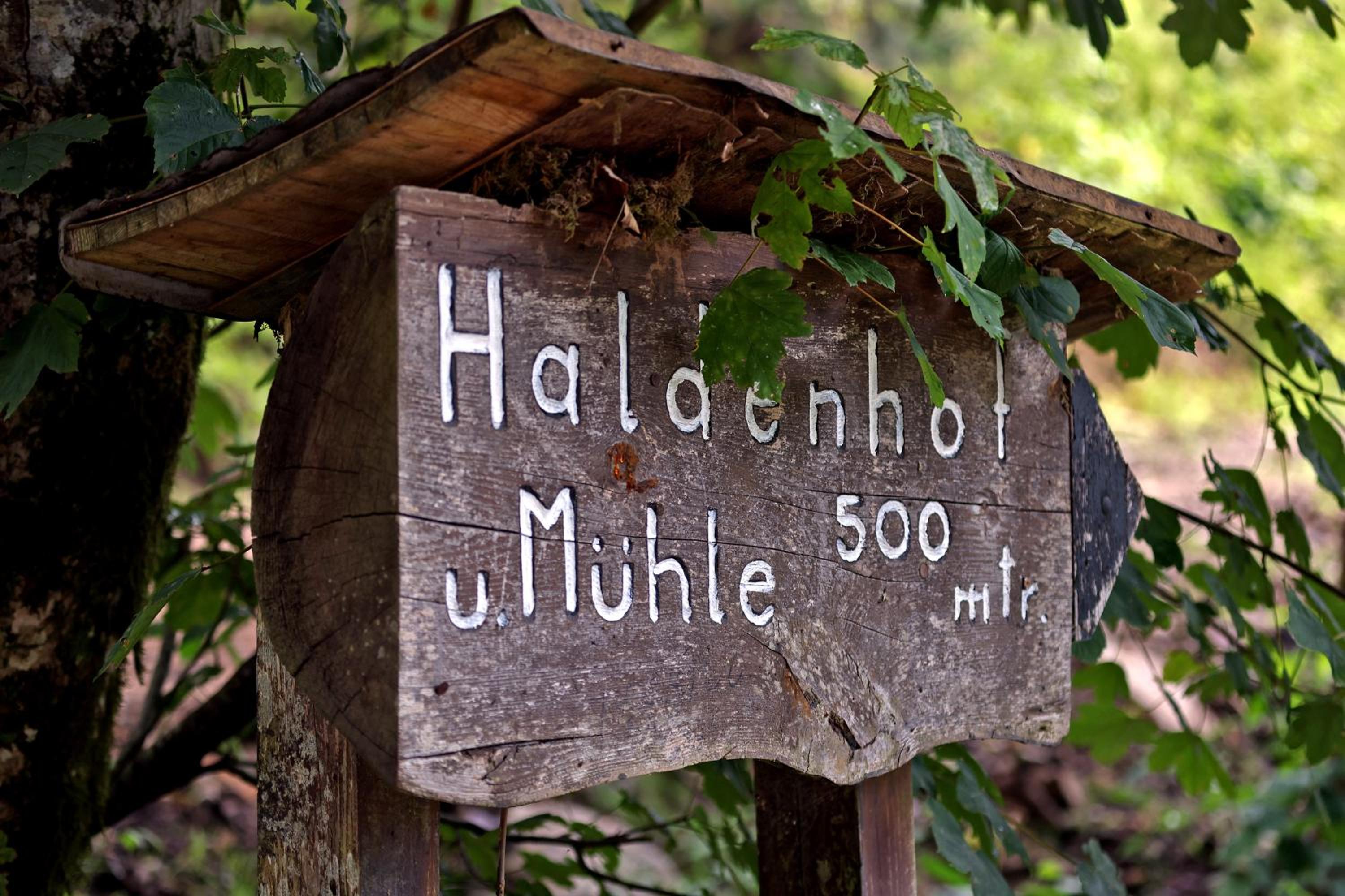 living TIMELESS- Haldenmühle, Luxus Schwarzwald-Retreat mit Sauna
