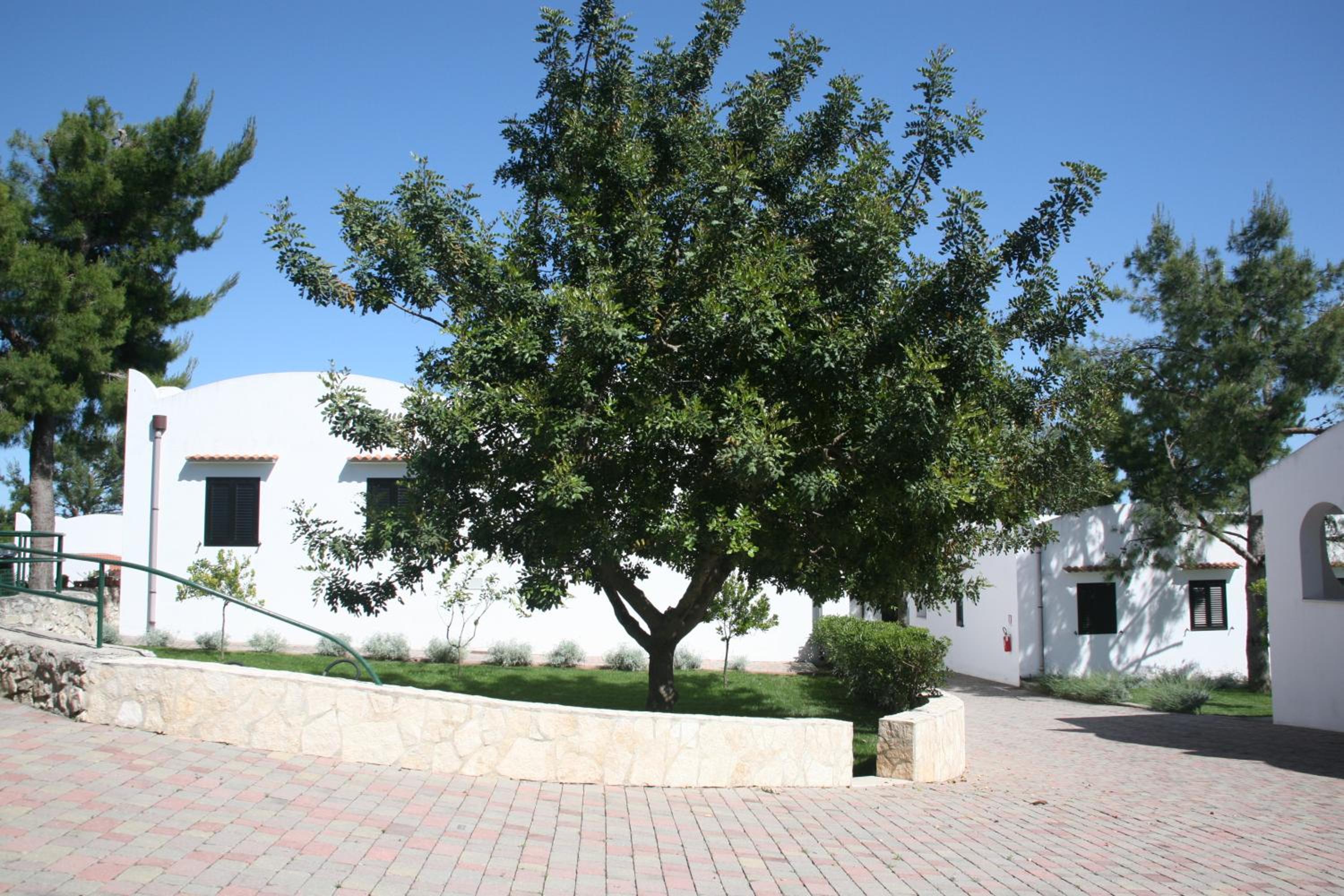 Photo 48