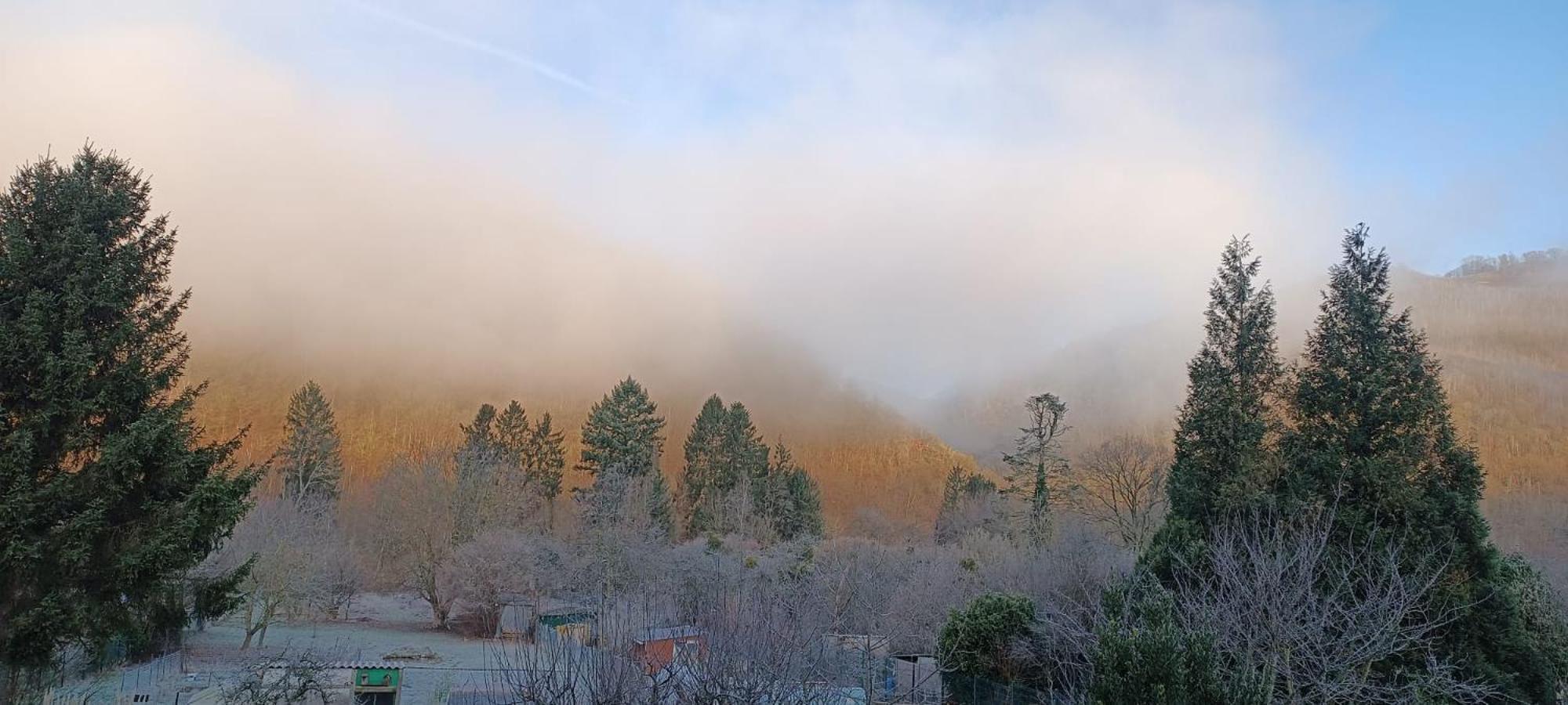 Les Ecureuils, photo 49