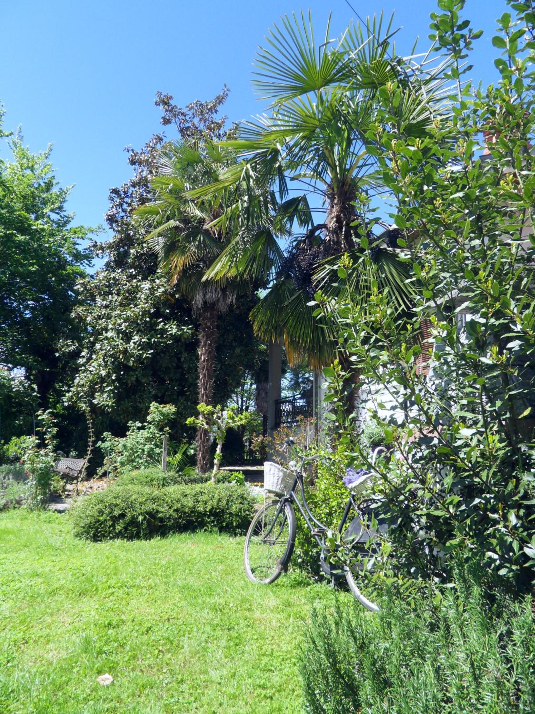 Photo 41