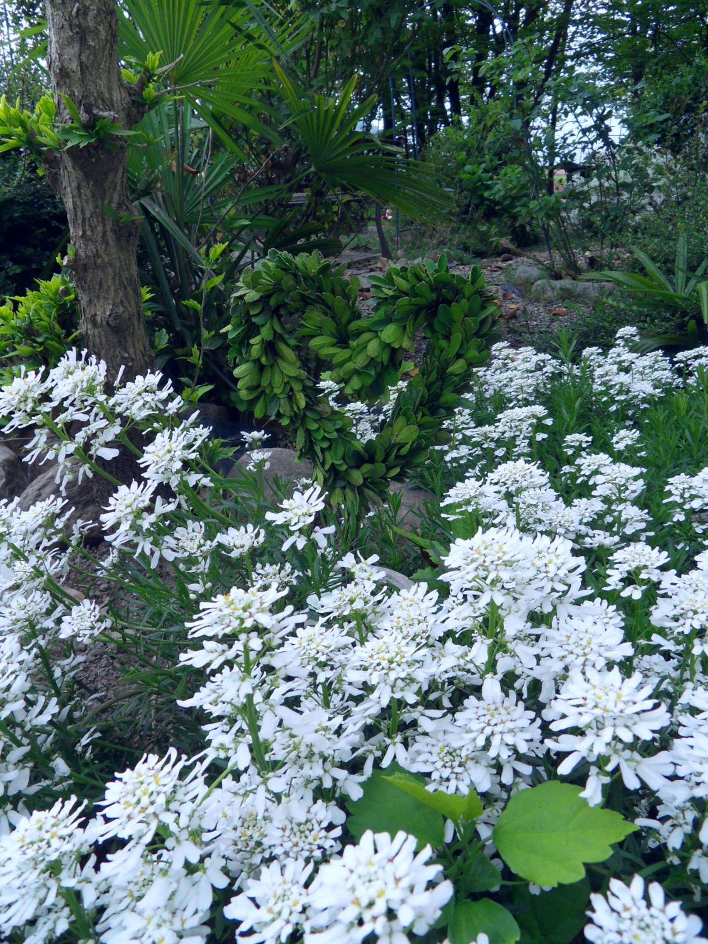 Photo 40