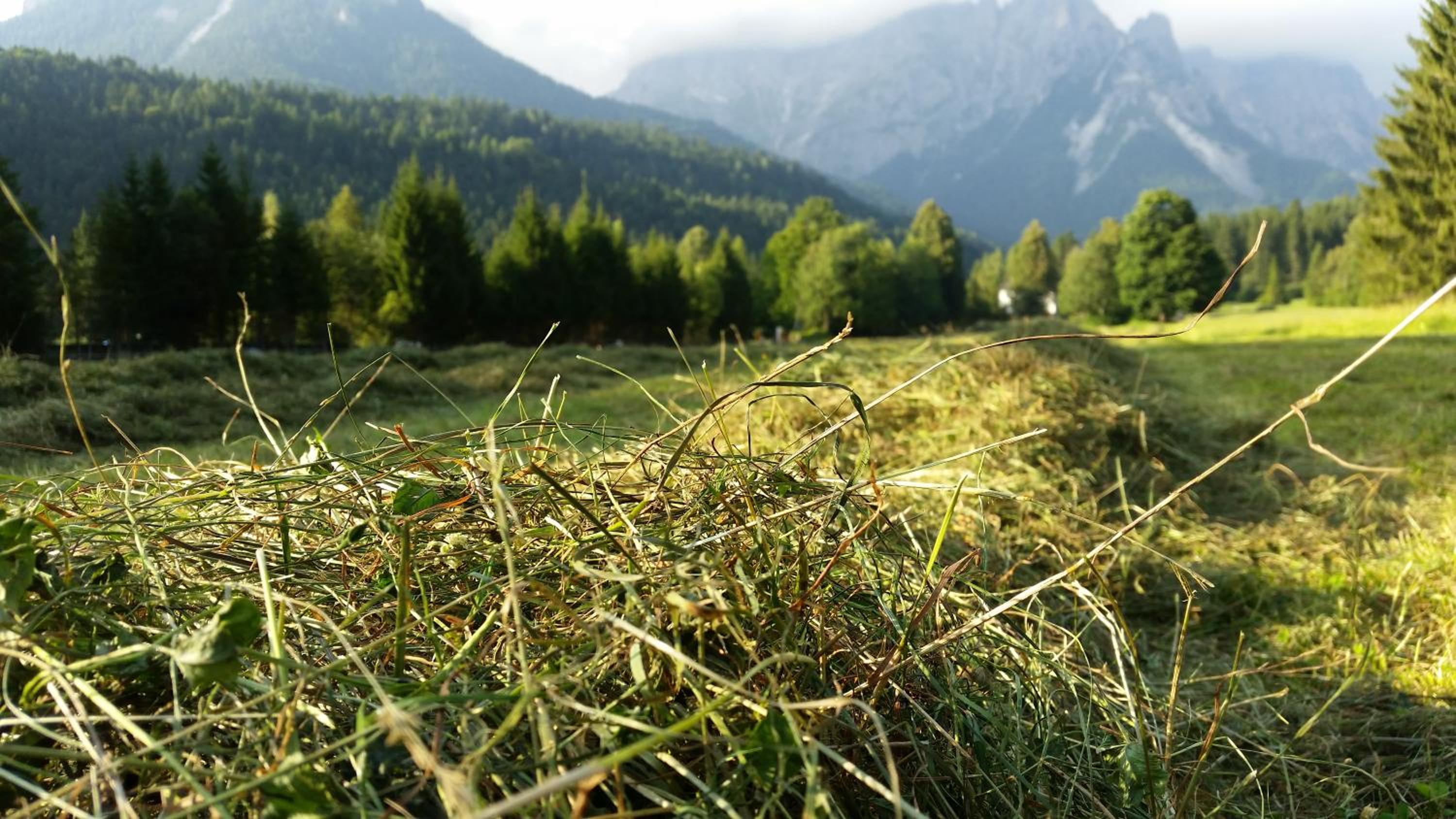 Photo 28