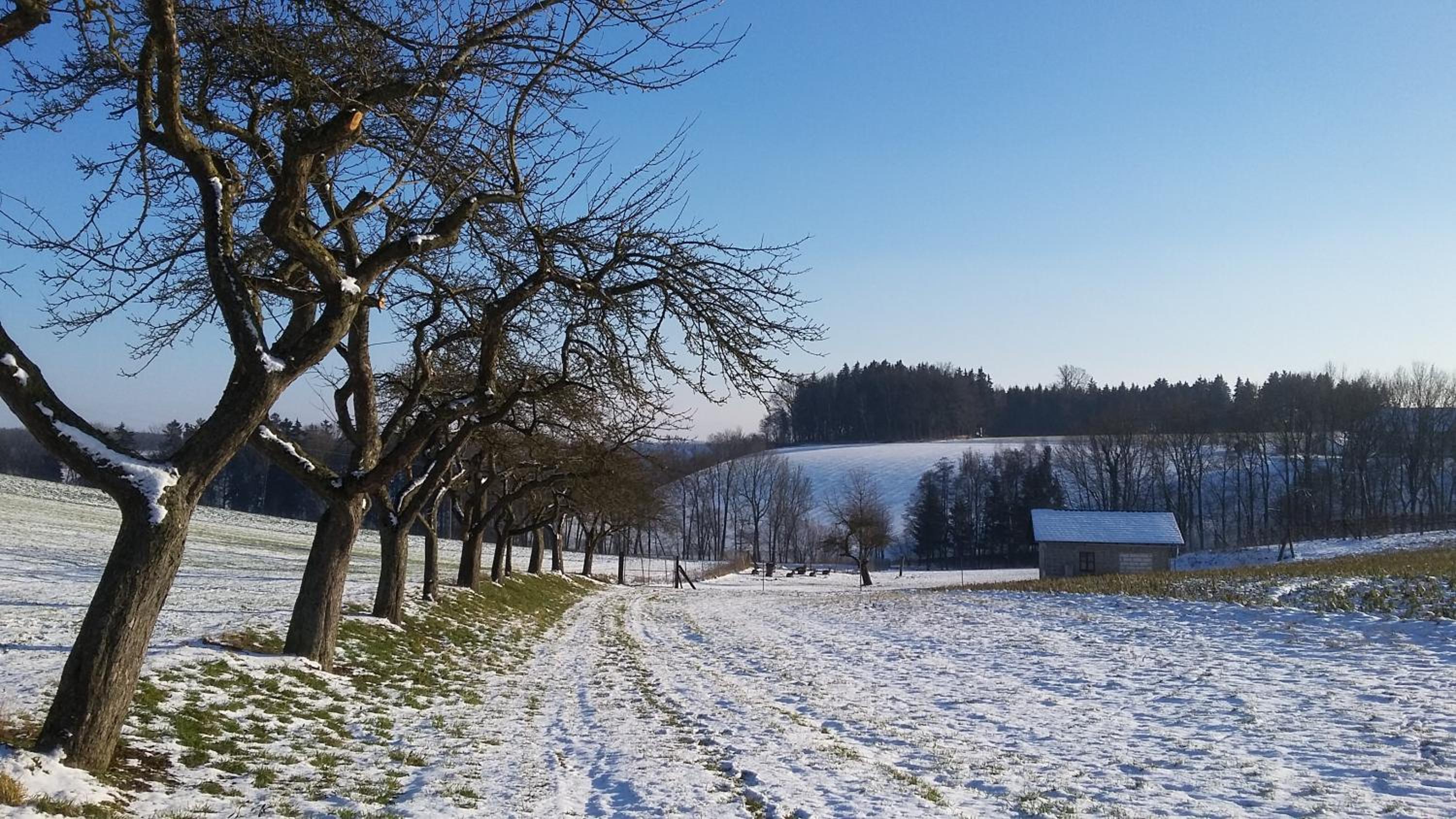 Pension Weinbauer