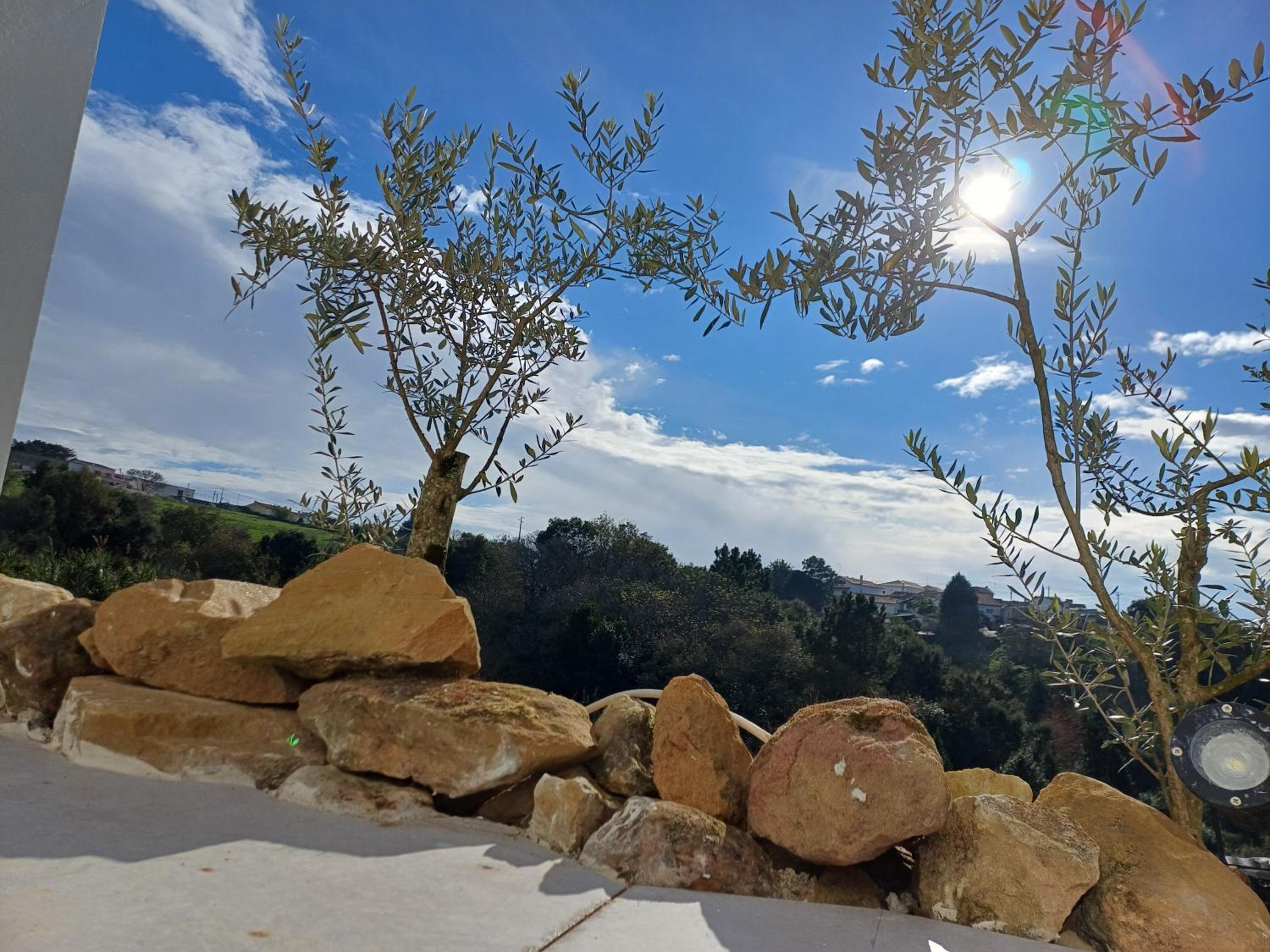 Quinta da pêra rocha