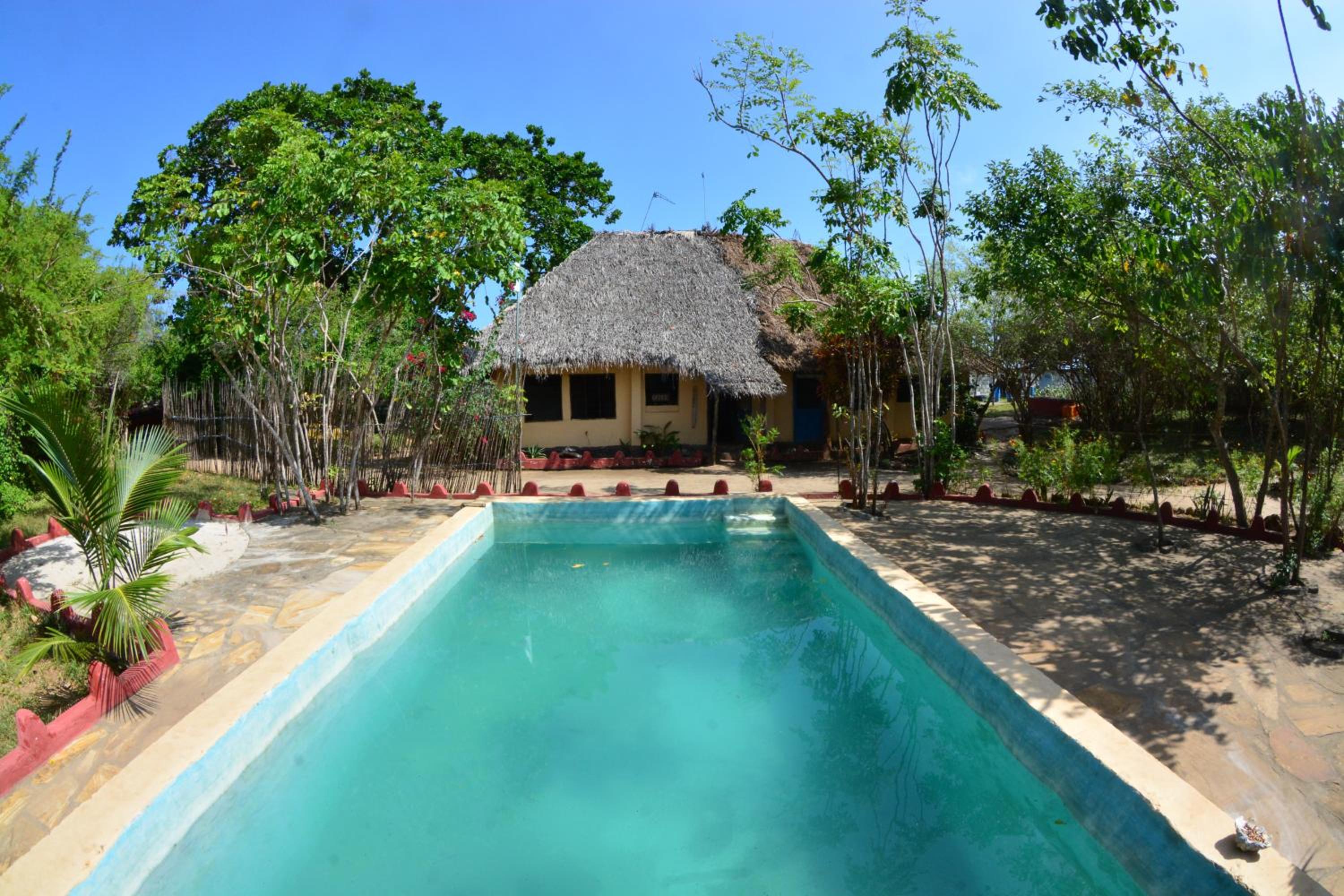 Gecko Nature Lodge Home of Swahili Divers the BEST dive center and Famous Gecko Restaurant