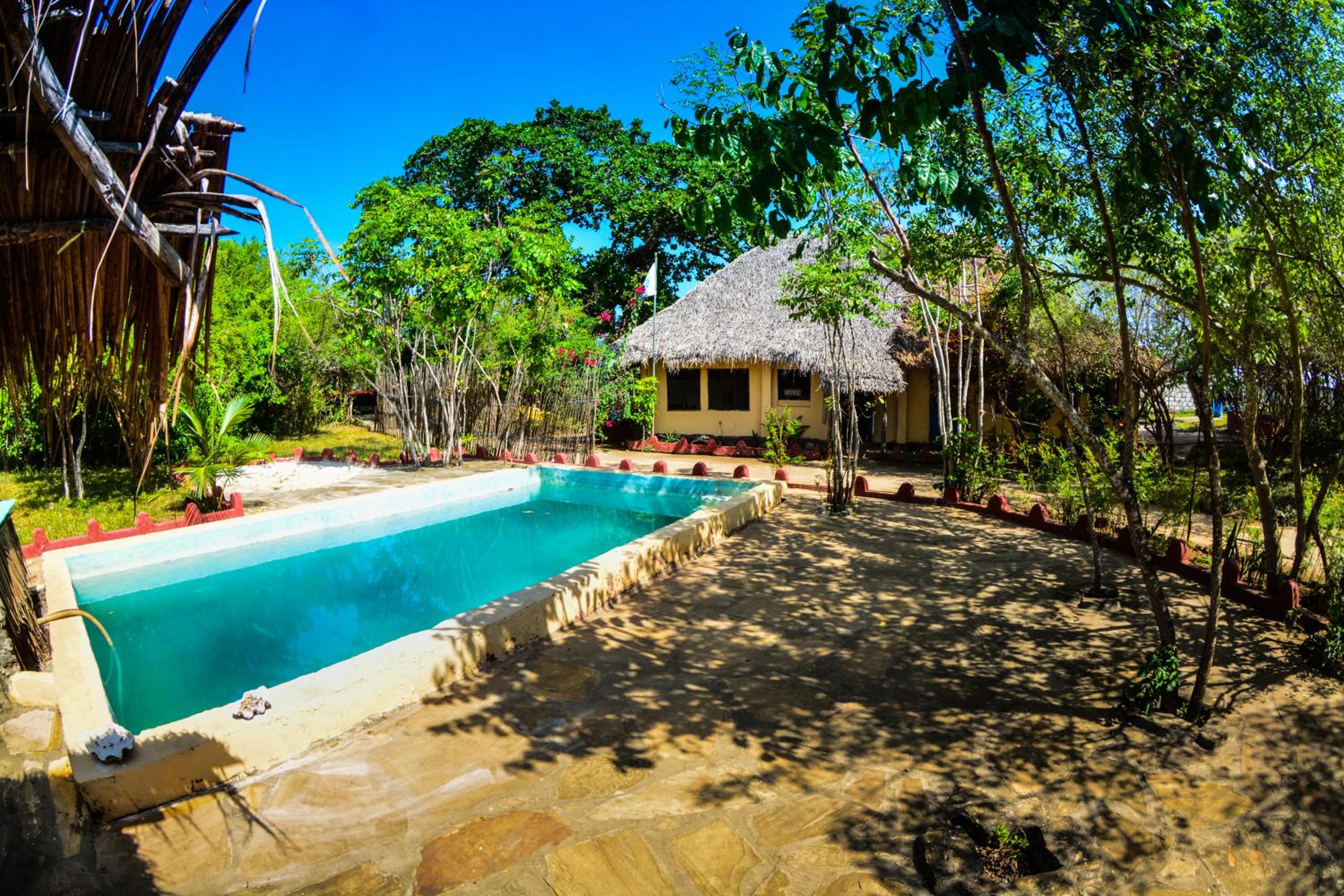 Gecko Nature Lodge Home of Swahili Divers the BEST dive center and Famous Gecko Restaurant