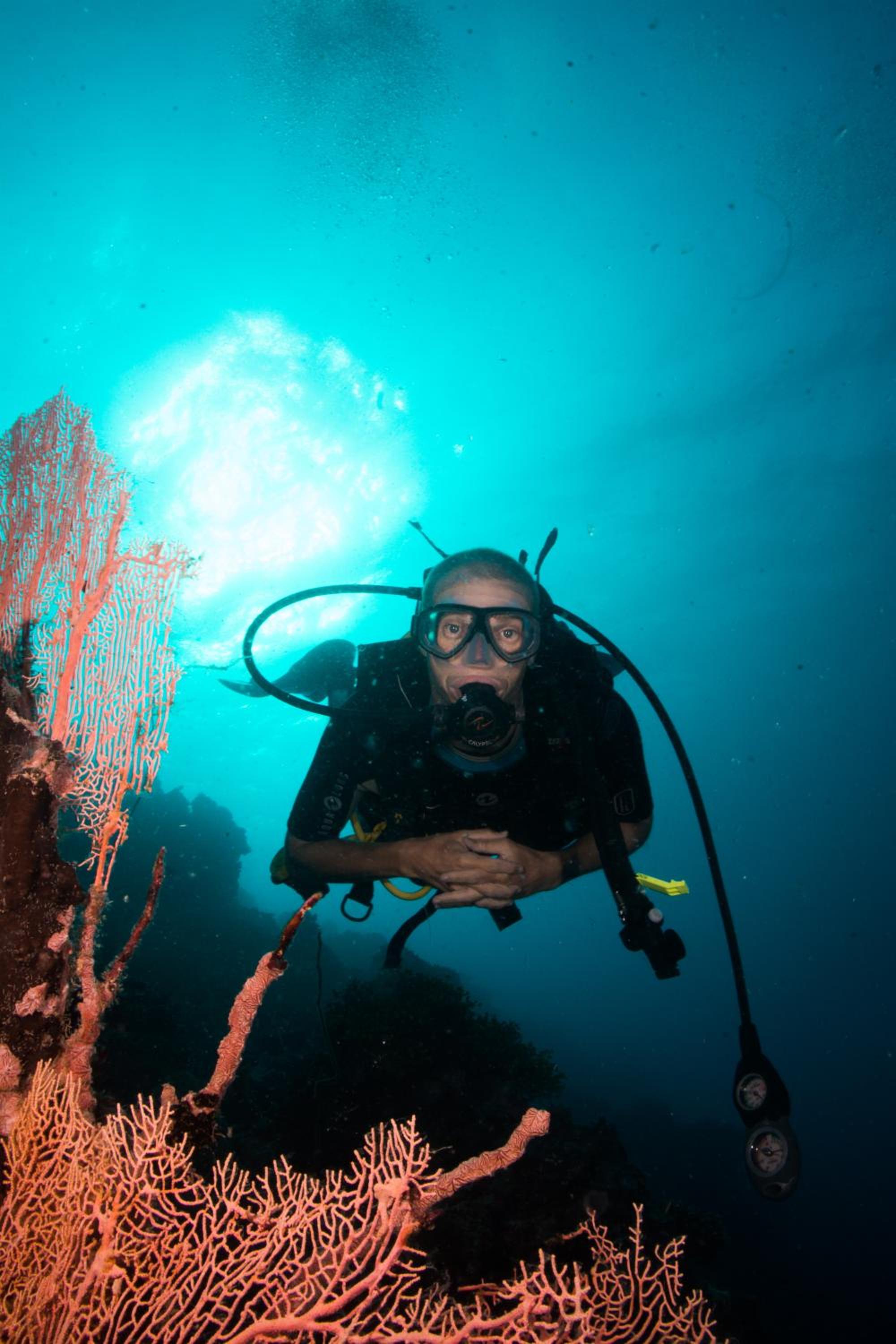 Gecko Nature Lodge Home of Swahili Divers the BEST dive center and Famous Gecko Restaurant