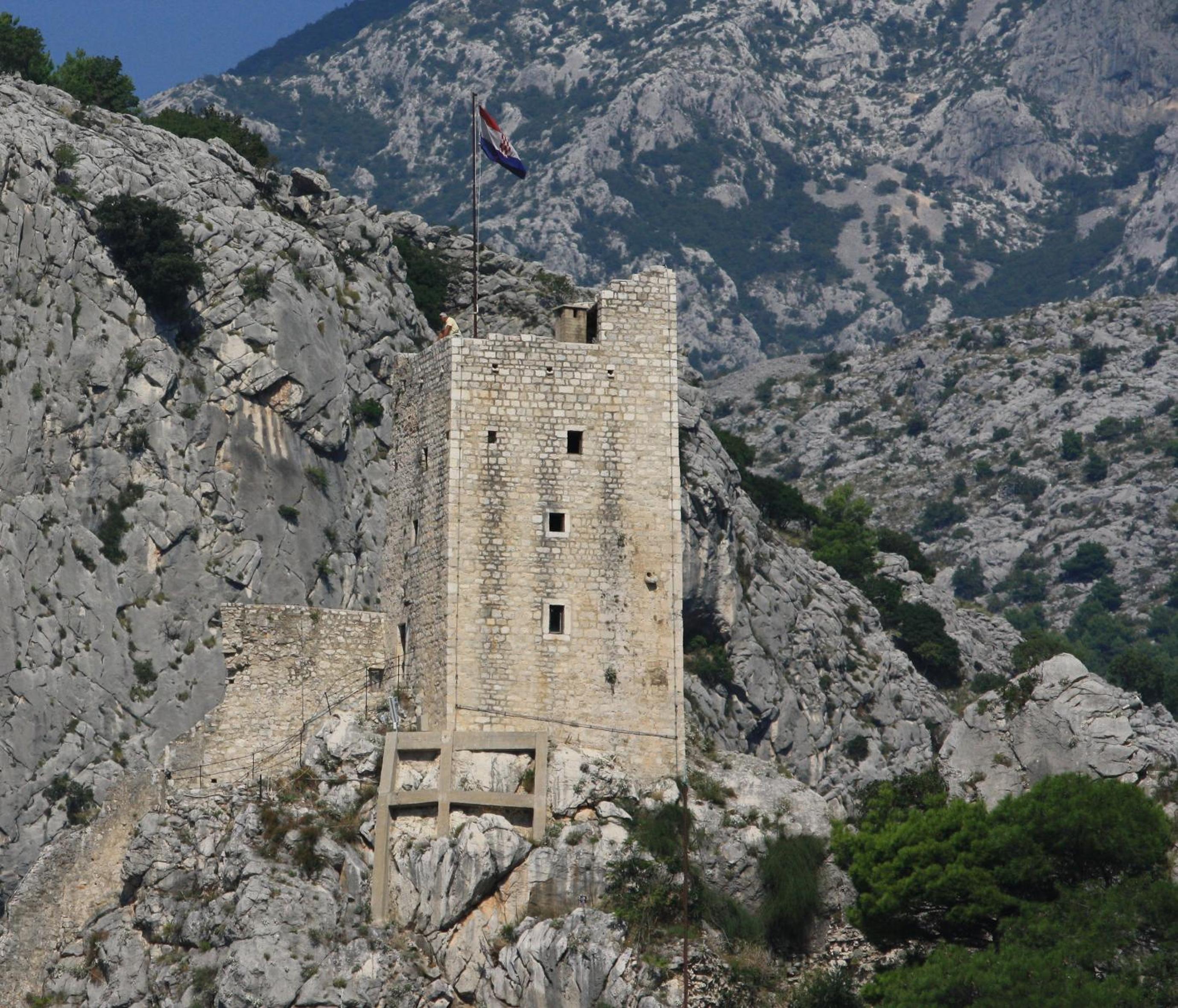 Photo 50