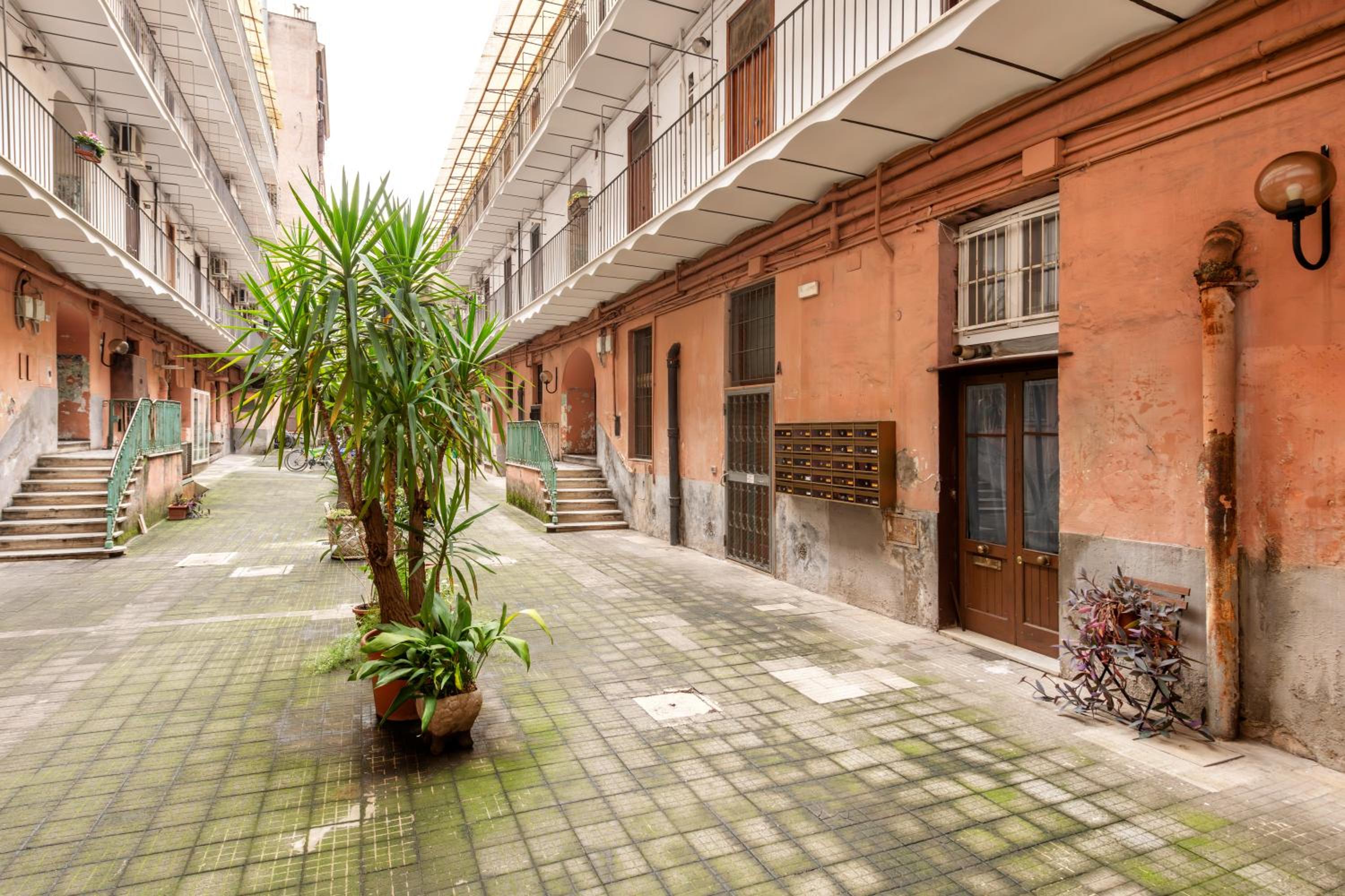 White Flat Sanniti