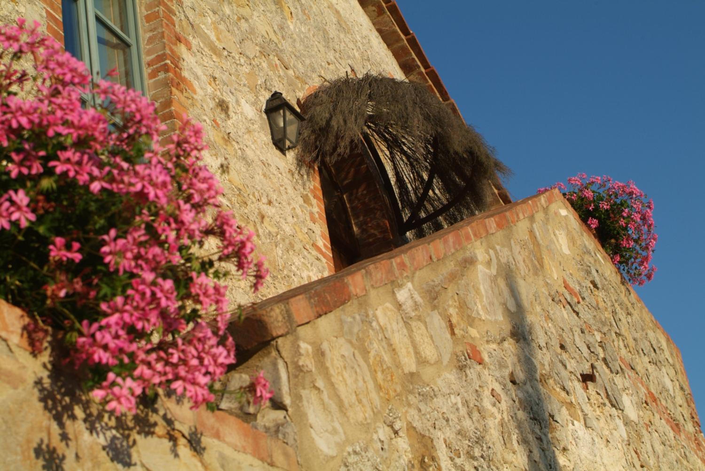 Agriturismo Podere Alberese