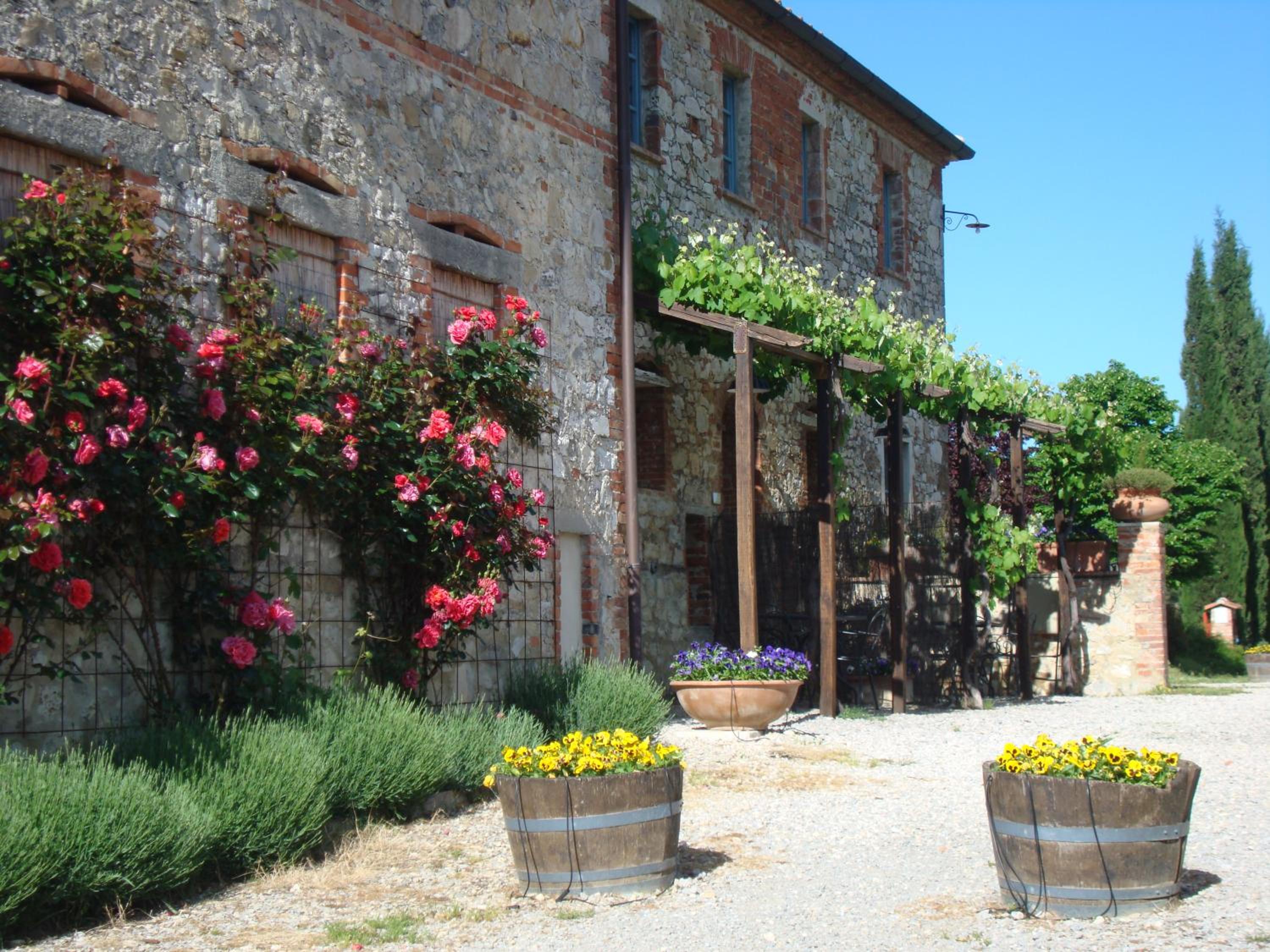 Agriturismo Podere Alberese