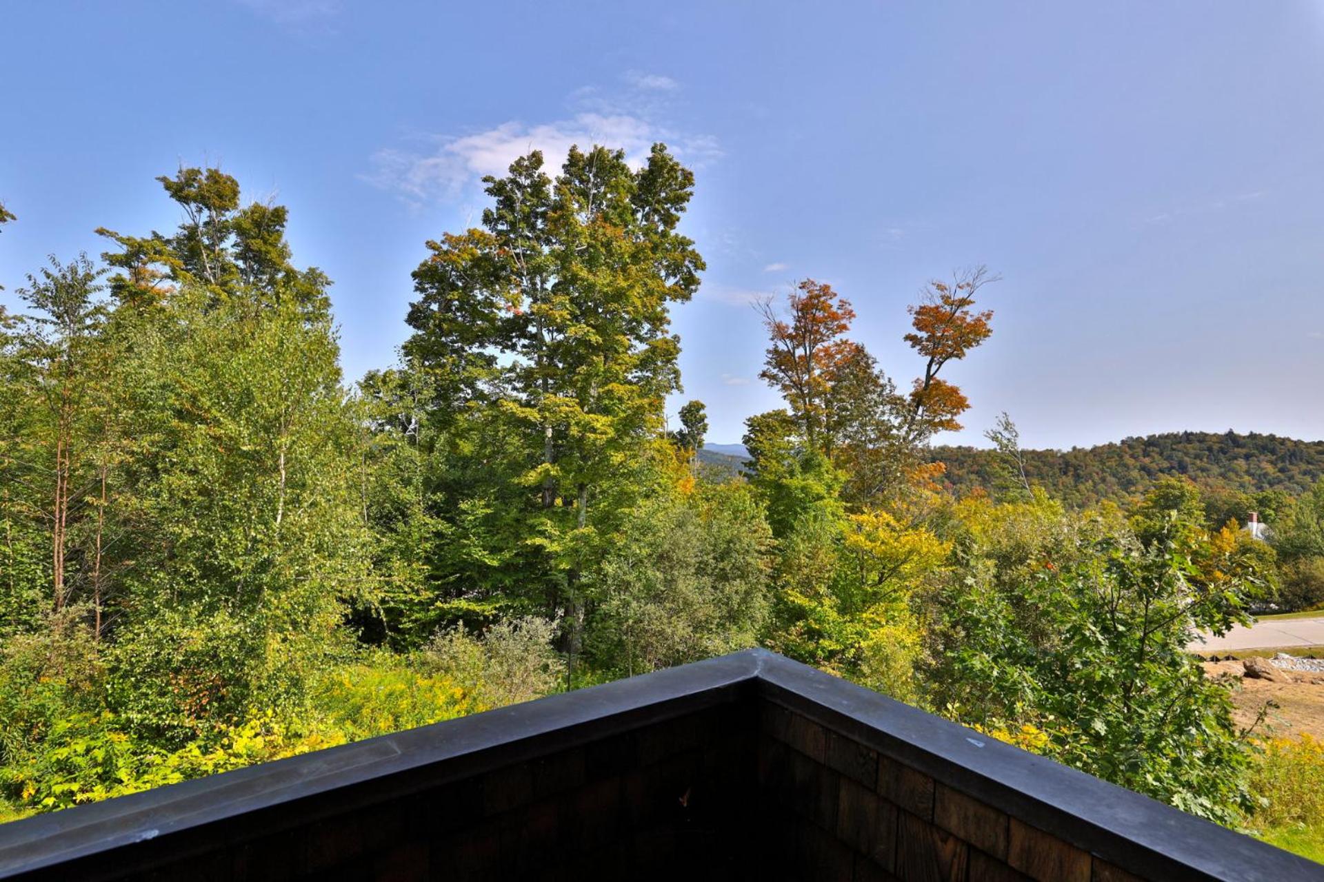 Vistas 92 - 4-Bedroom Luxury Ski On Ski Off Home with Hot Tub, Views, Amenity Center