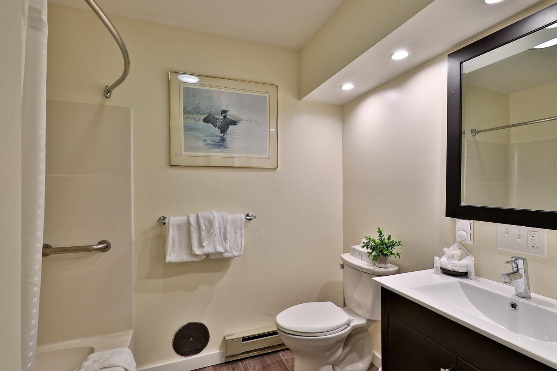 The Cozy Cubbie - Charming Studio, Summer Pool, Bus Route, Queen and Bunk Bed