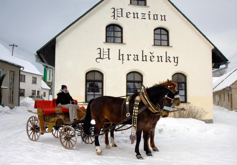 Penzion U Hraběnky