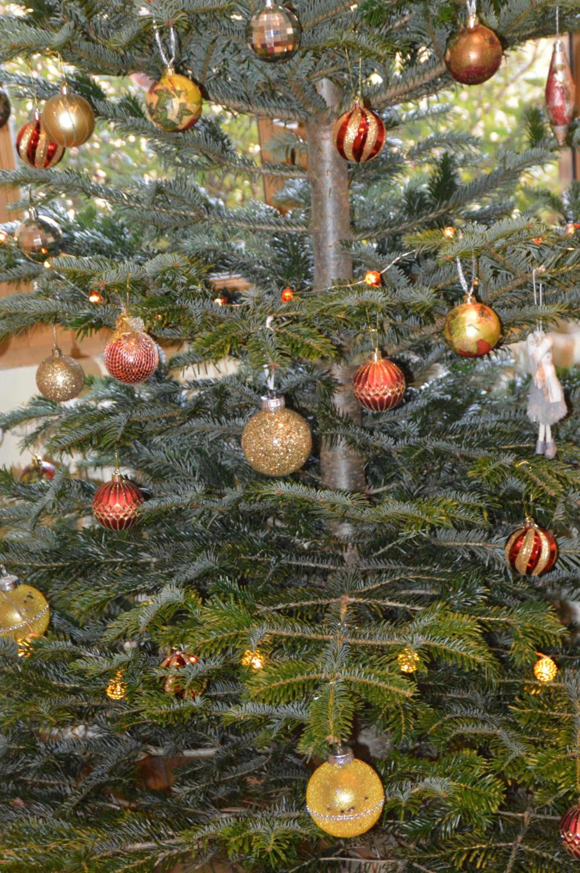 Gite de charme, Sologne, séjour en famille, jeux, balade nature en forêt & détente, centre Aubigny