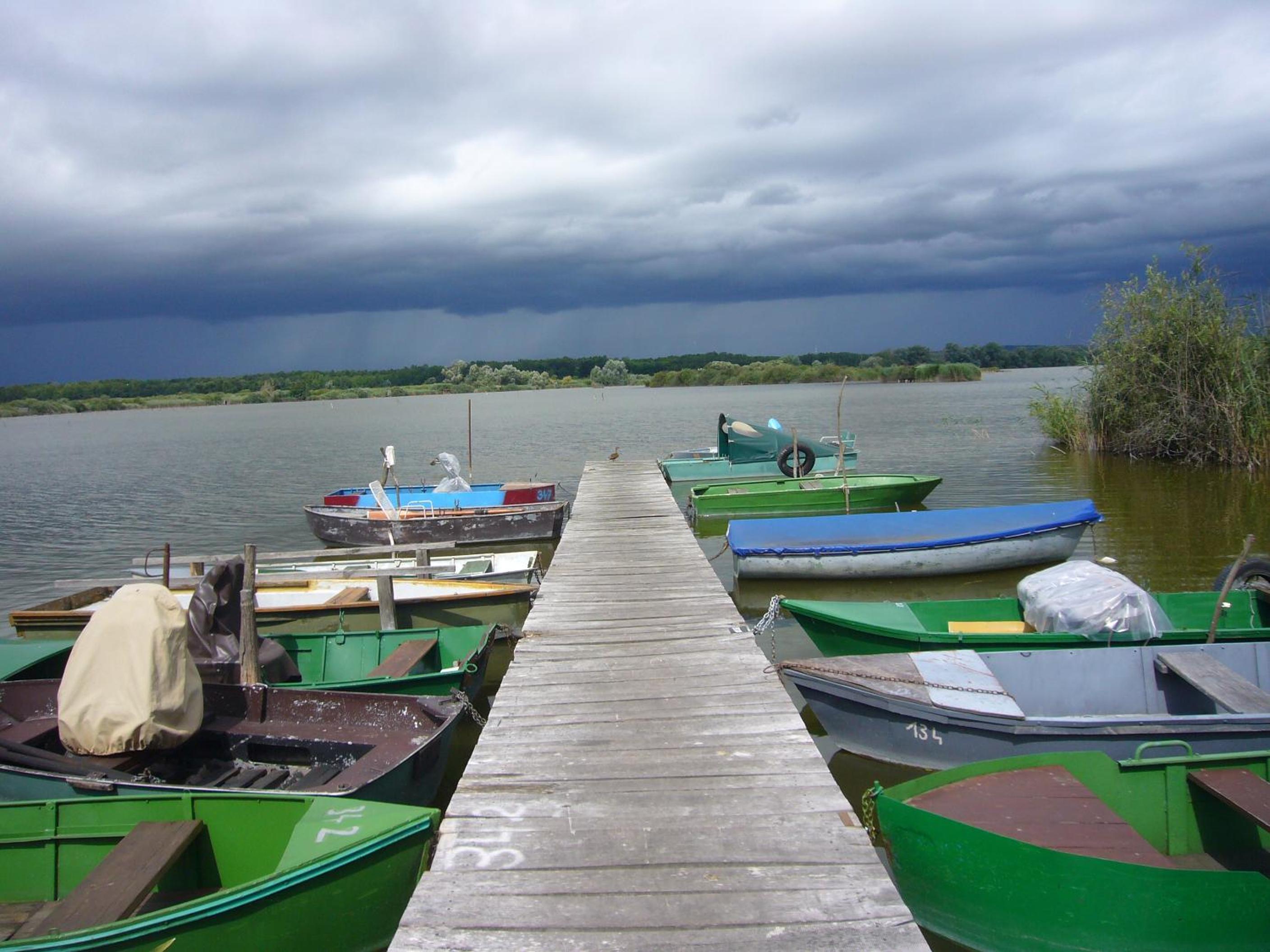 Photo 42